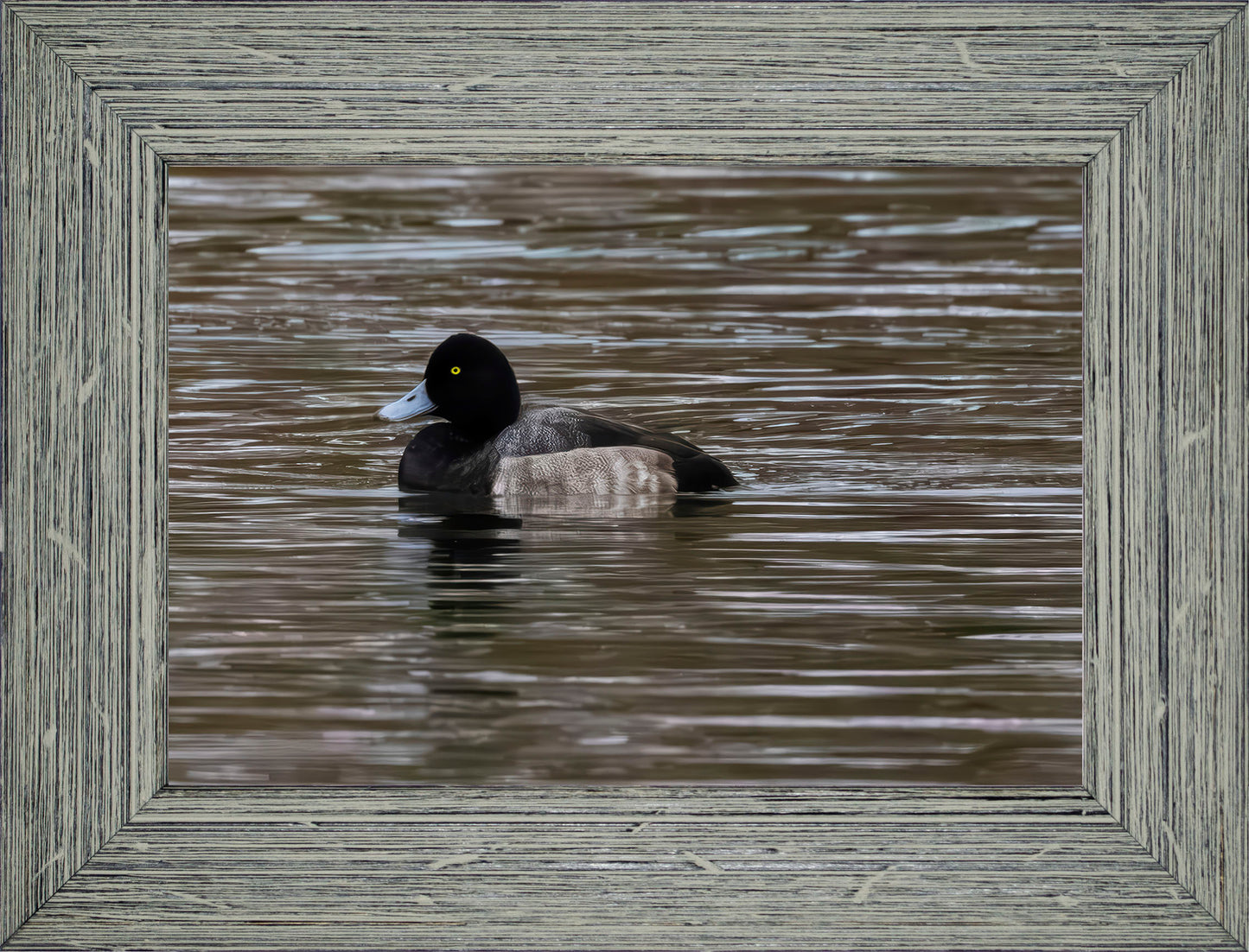 Solo Blue Bill Drake #1