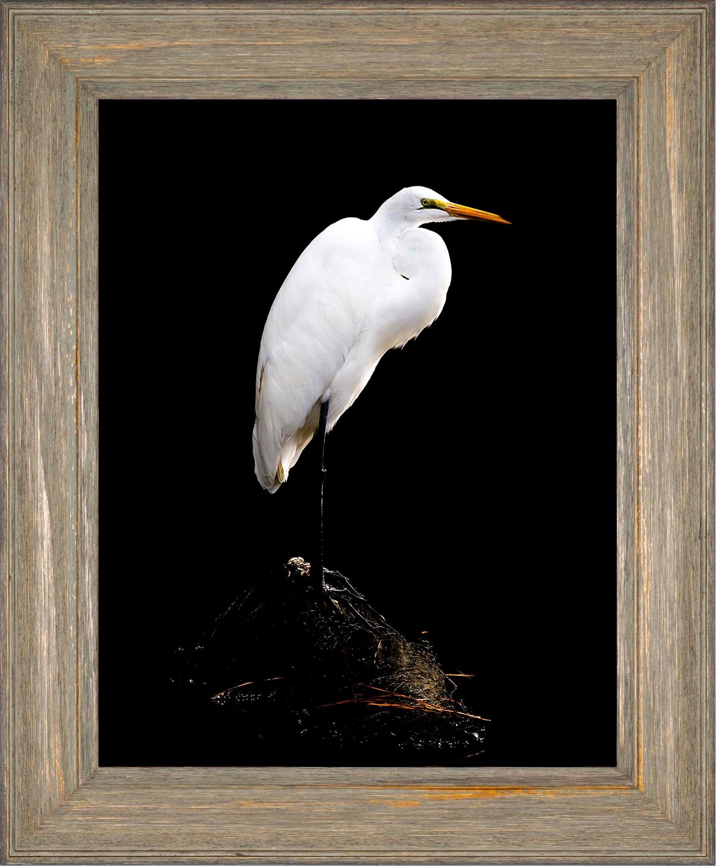 Studio in the Wild -- Digital Print