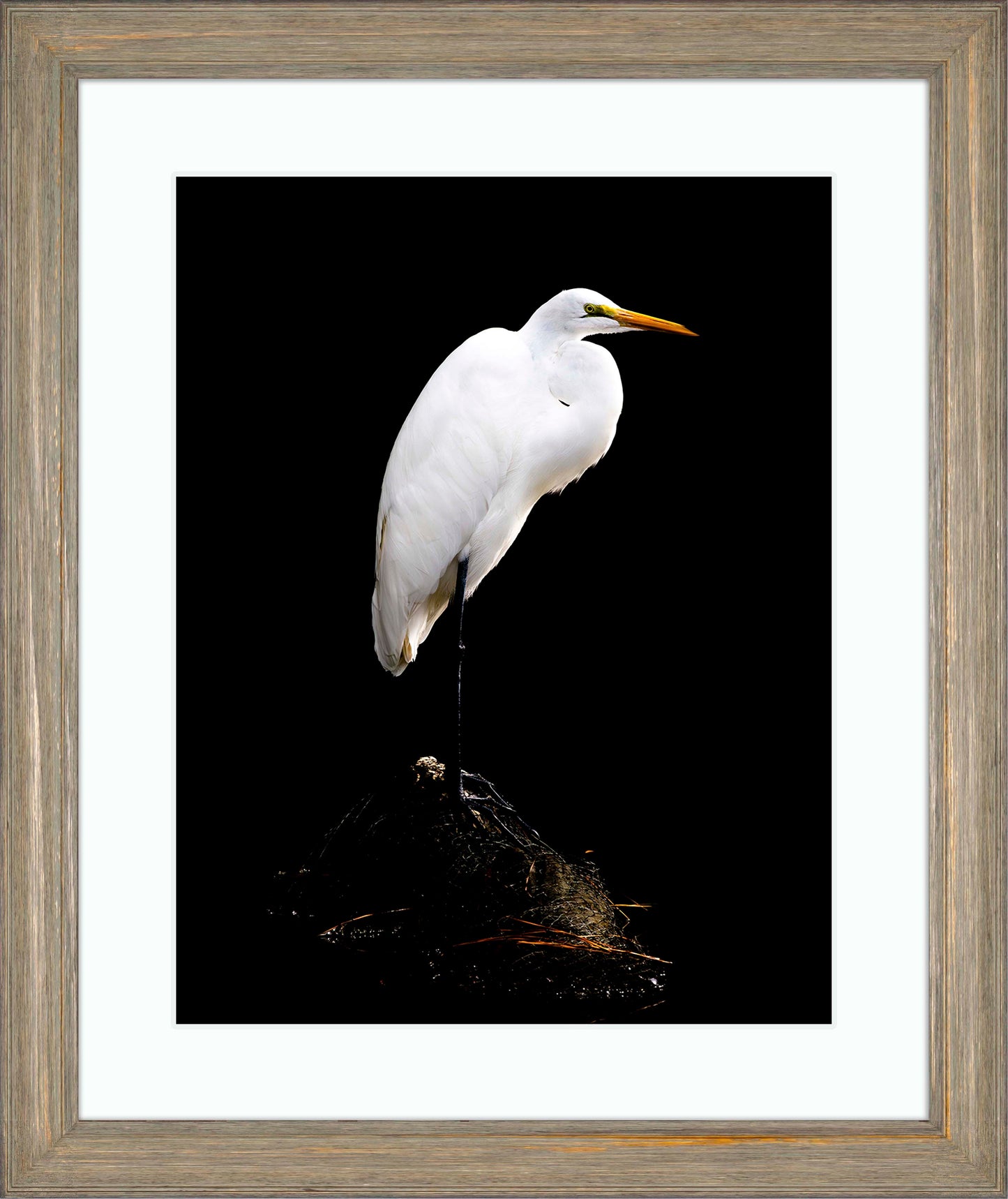 Studio in the Wild -- Digital Print