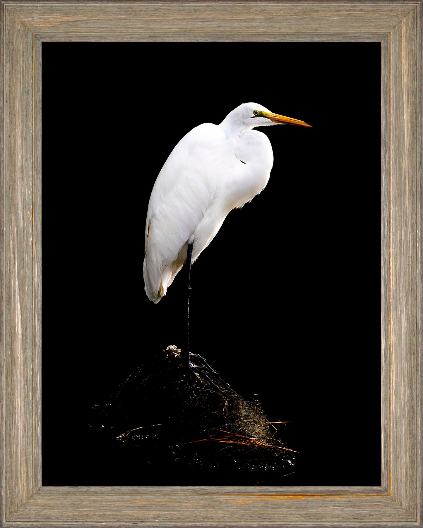 Studio in the Wild -- Digital Print