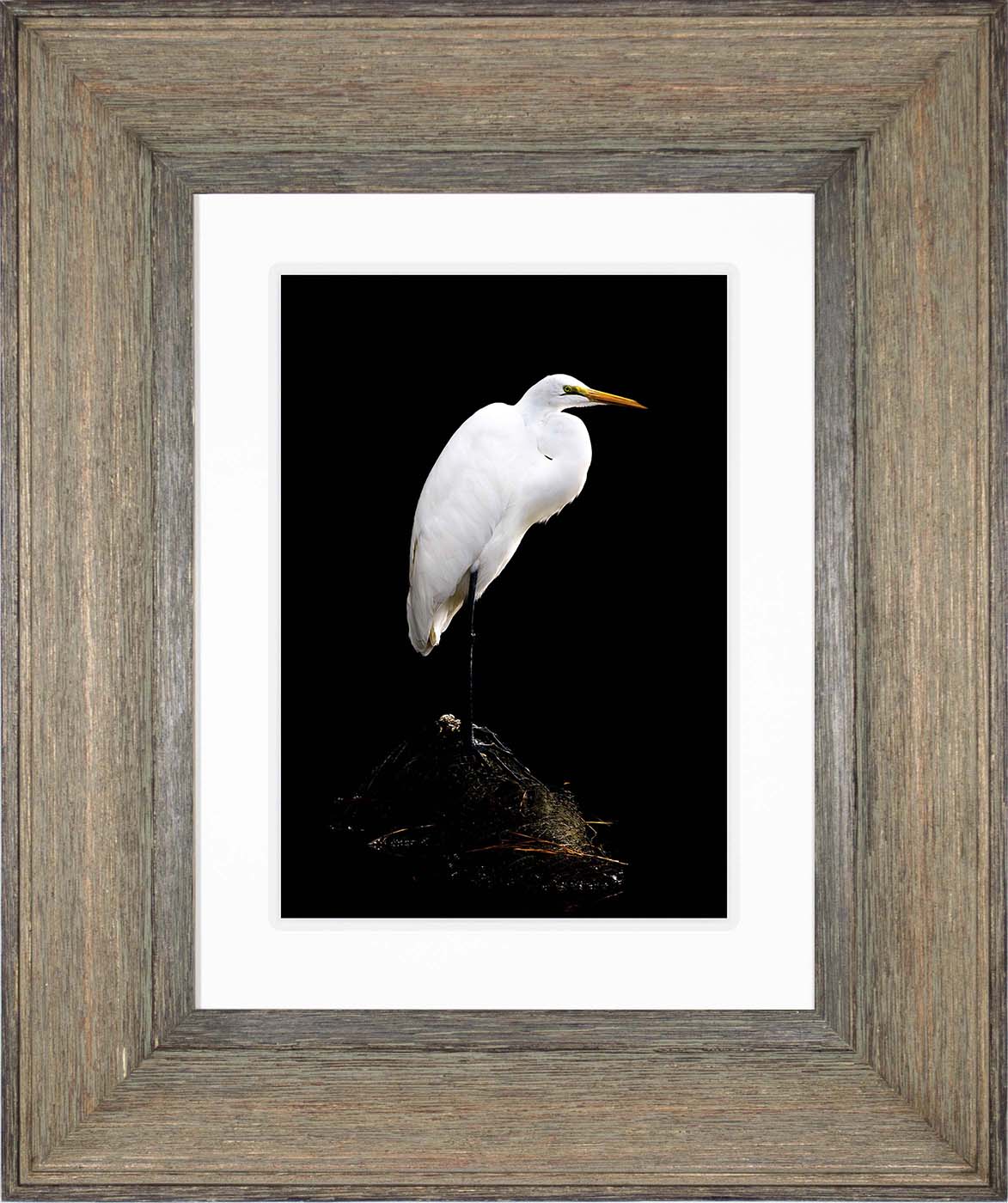 Studio in the Wild -- Digital Print