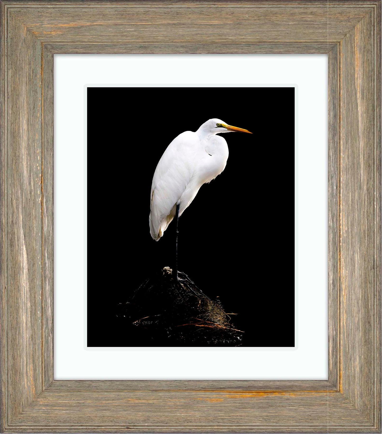 Studio in the Wild -- Digital Print