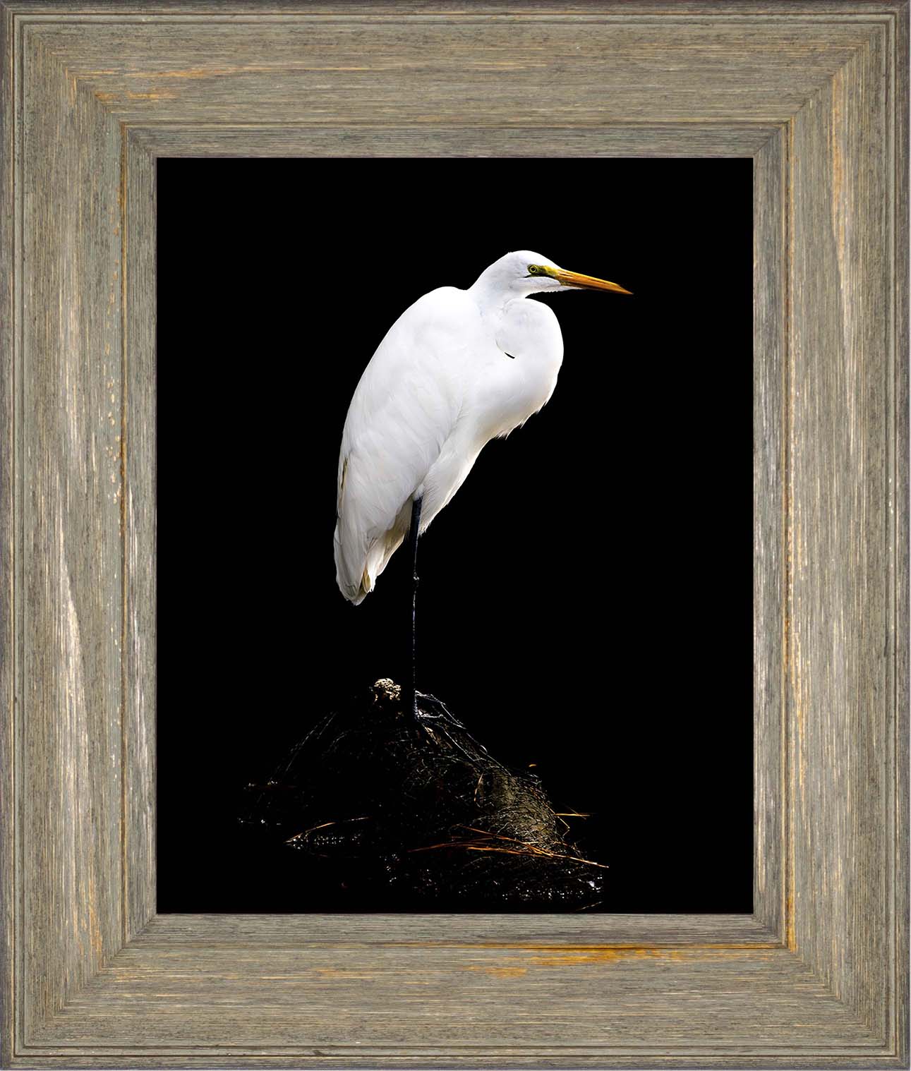 Studio in the Wild -- Digital Print