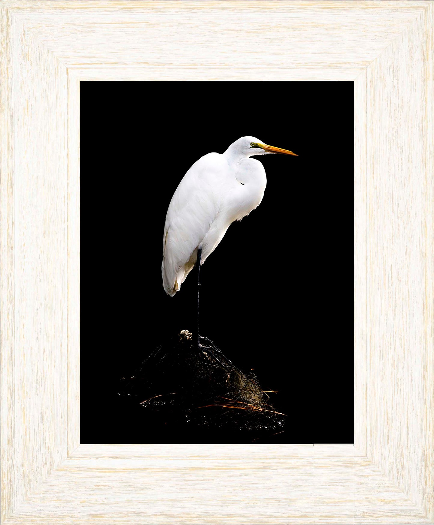 Studio in the Wild -- Digital Print