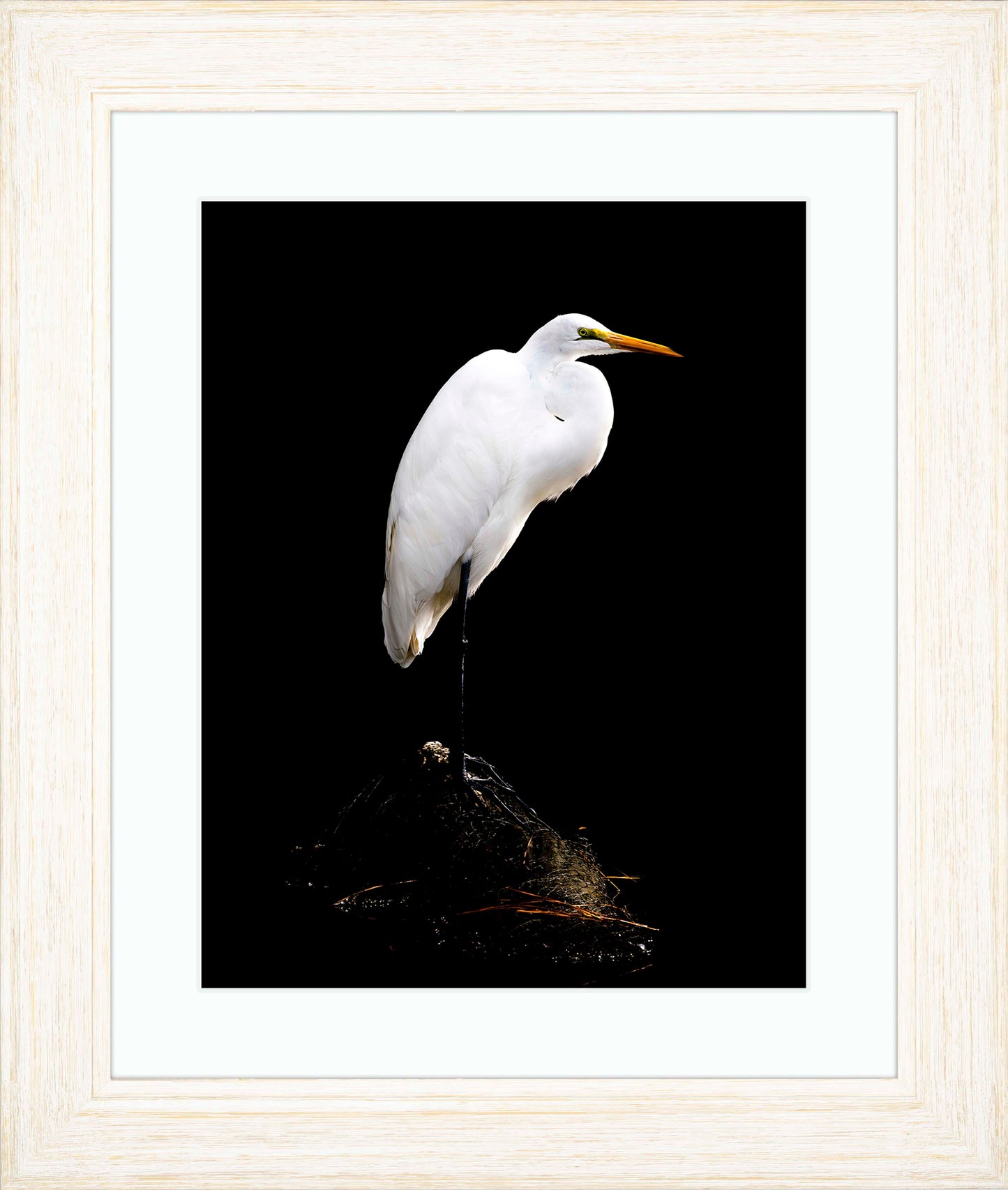 Studio in the Wild -- Digital Print