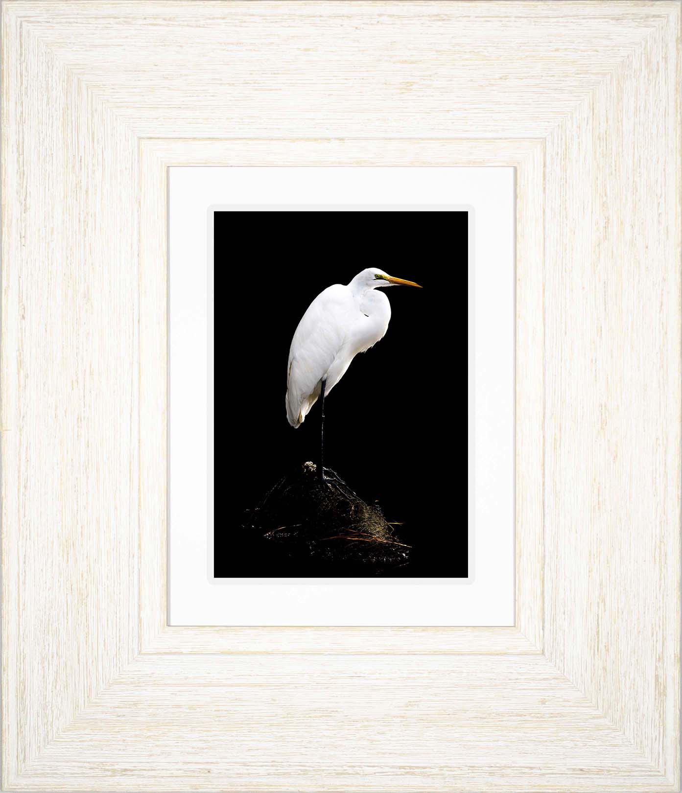 Studio in the Wild -- Digital Print