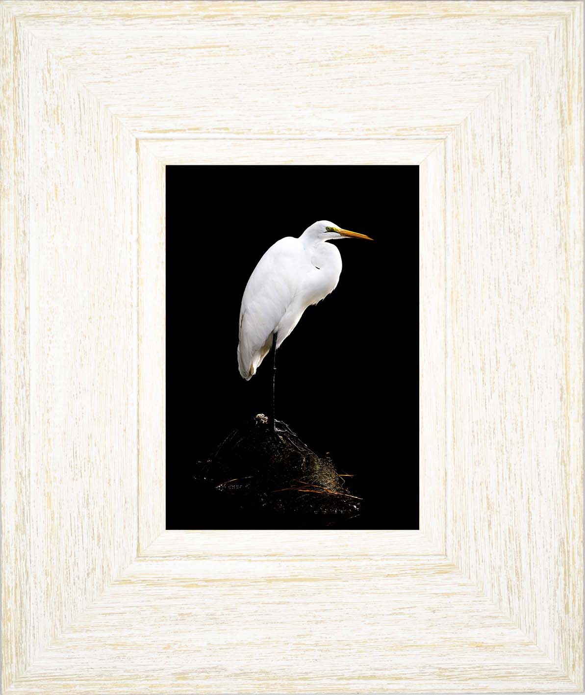 Studio in the Wild -- Digital Print