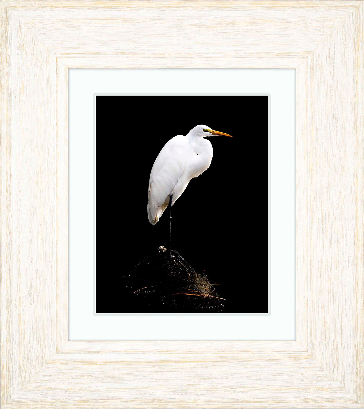 Studio in the Wild -- Digital Print