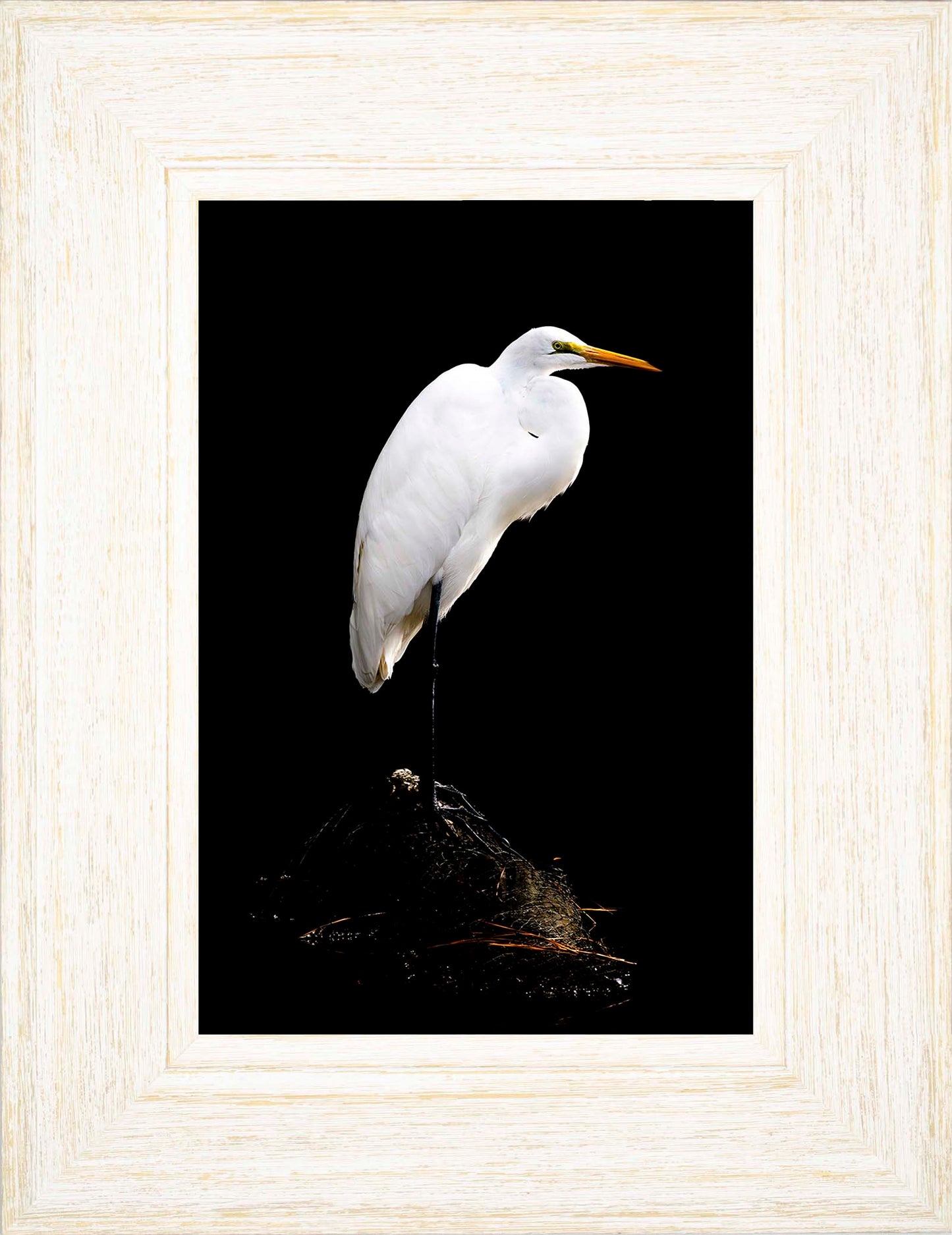 Studio in the Wild -- Digital Print