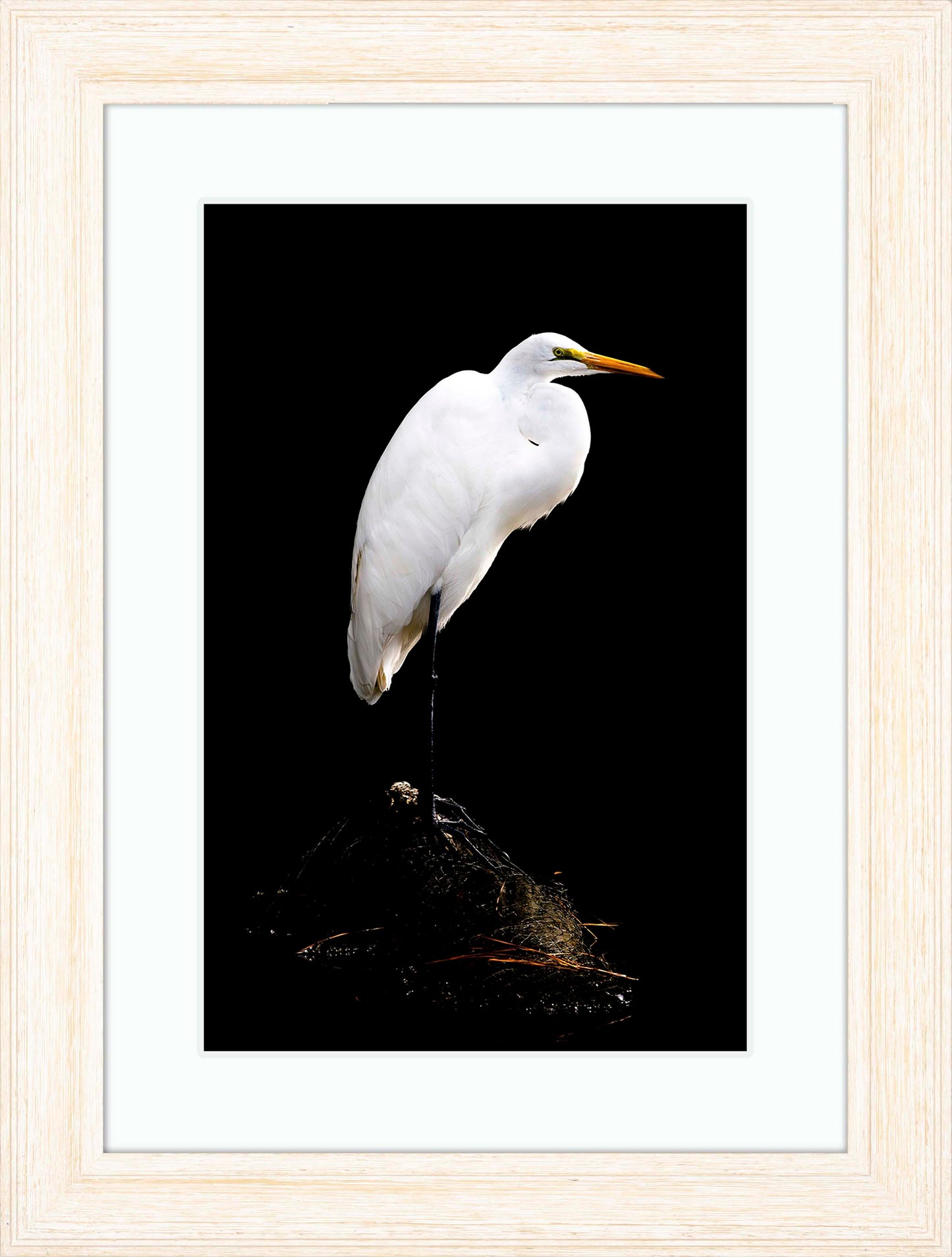 Studio in the Wild -- Digital Print