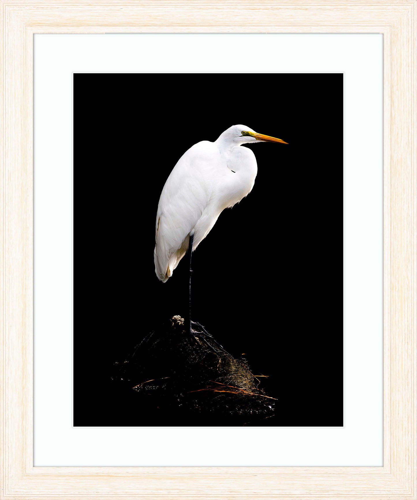 Studio in the Wild -- Digital Print