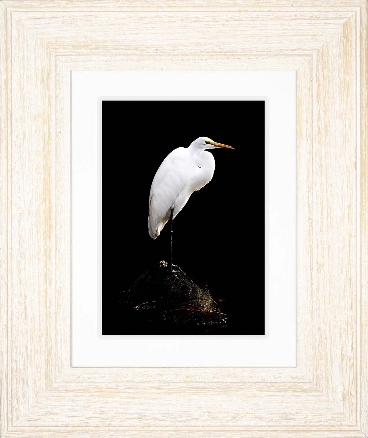 Studio in the Wild -- Digital Print