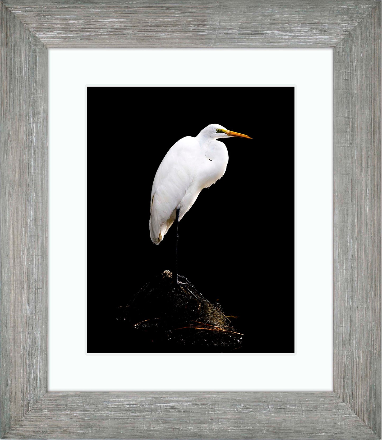 Studio in the Wild -- Digital Print