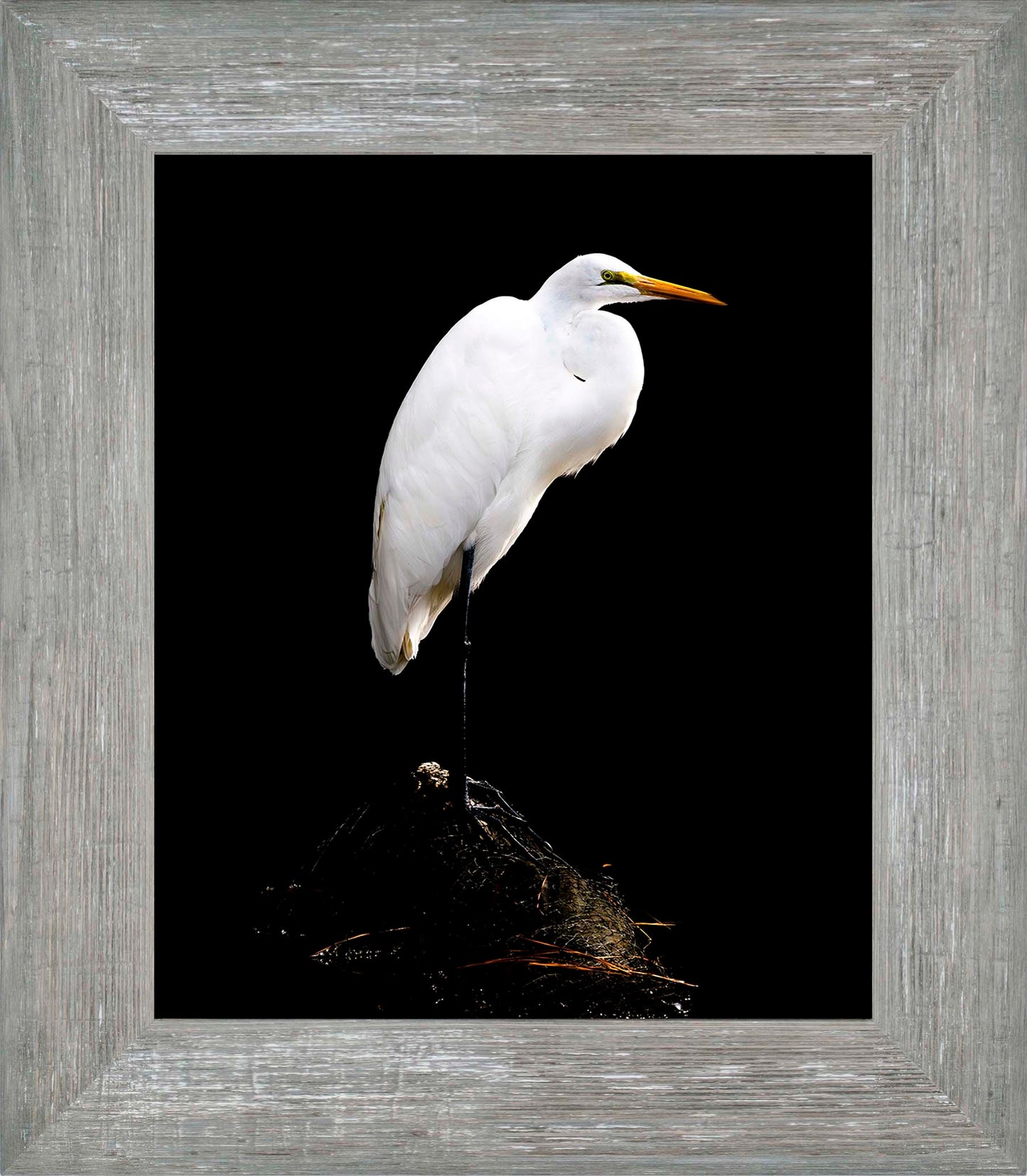 Studio in the Wild -- Digital Print