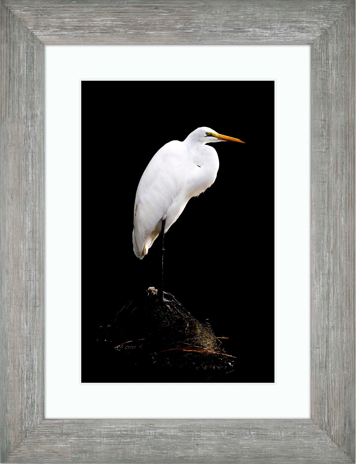 Studio in the Wild -- Digital Print