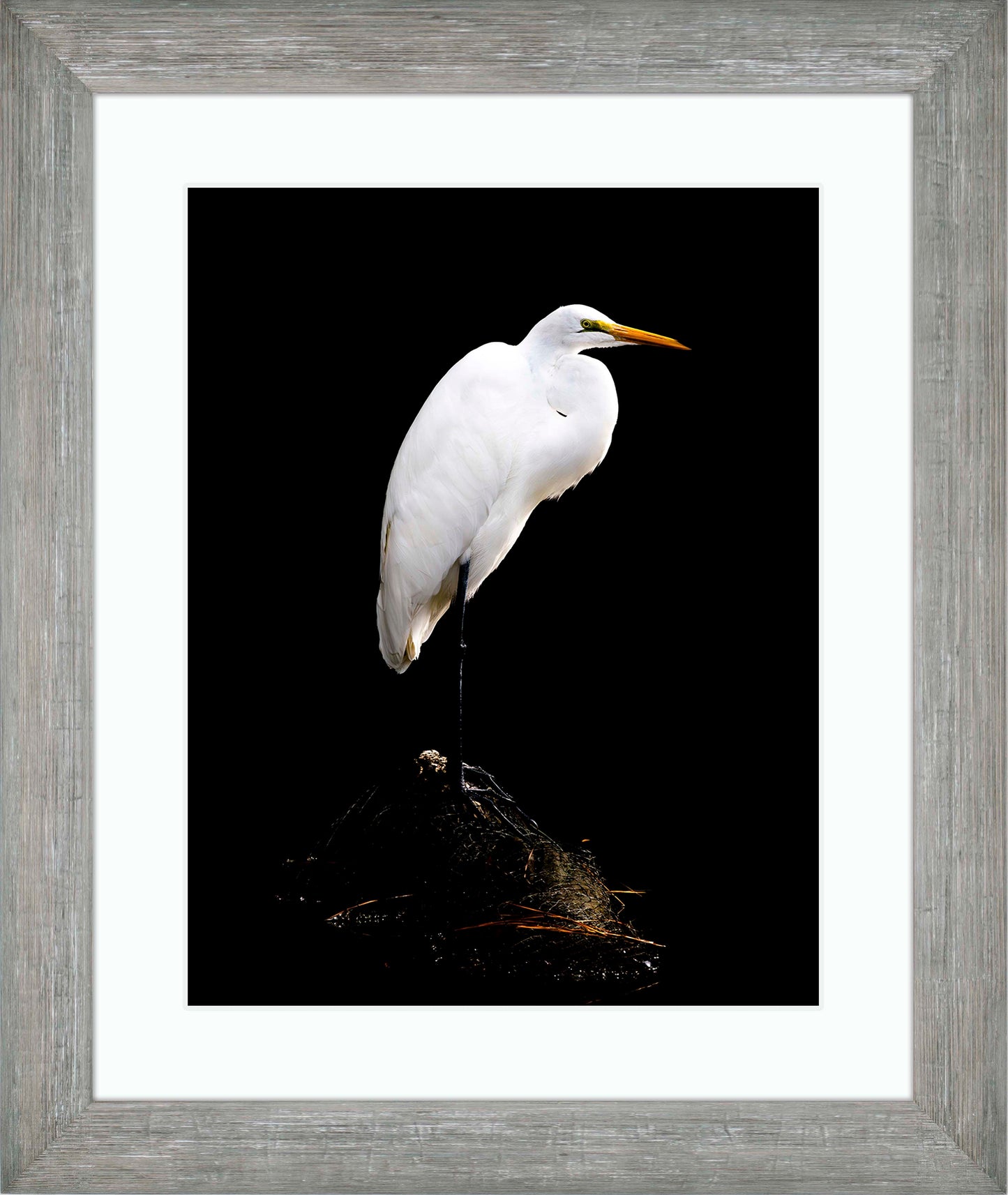 Studio in the Wild -- Digital Print