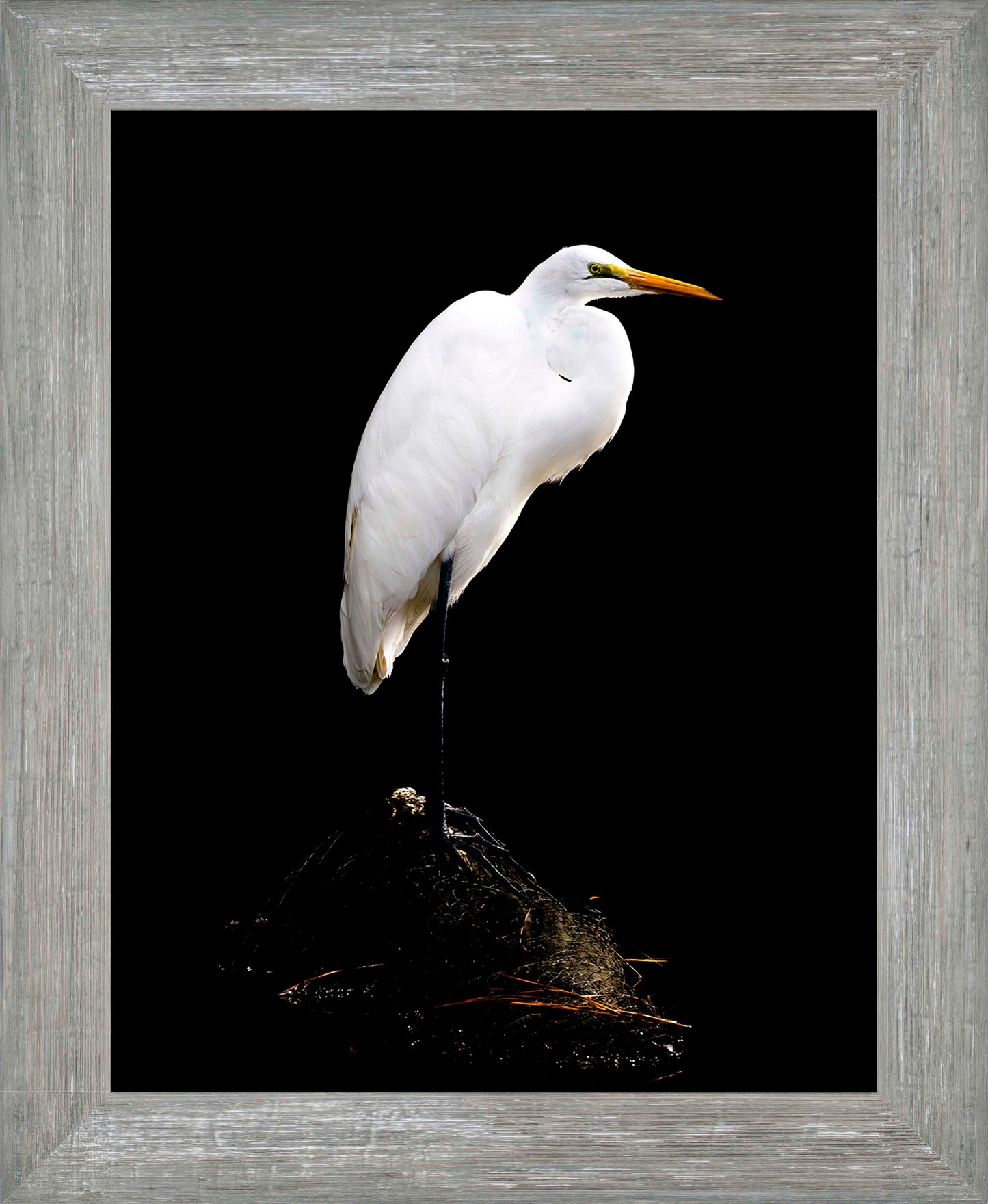 Studio in the Wild -- Digital Print