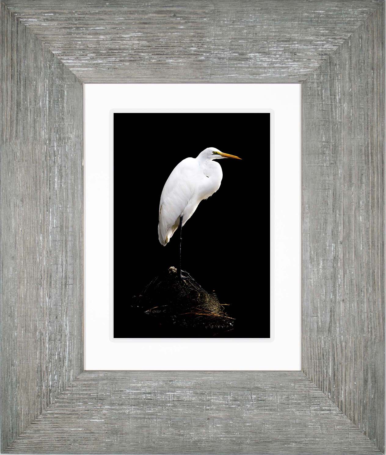 Studio in the Wild -- Digital Print