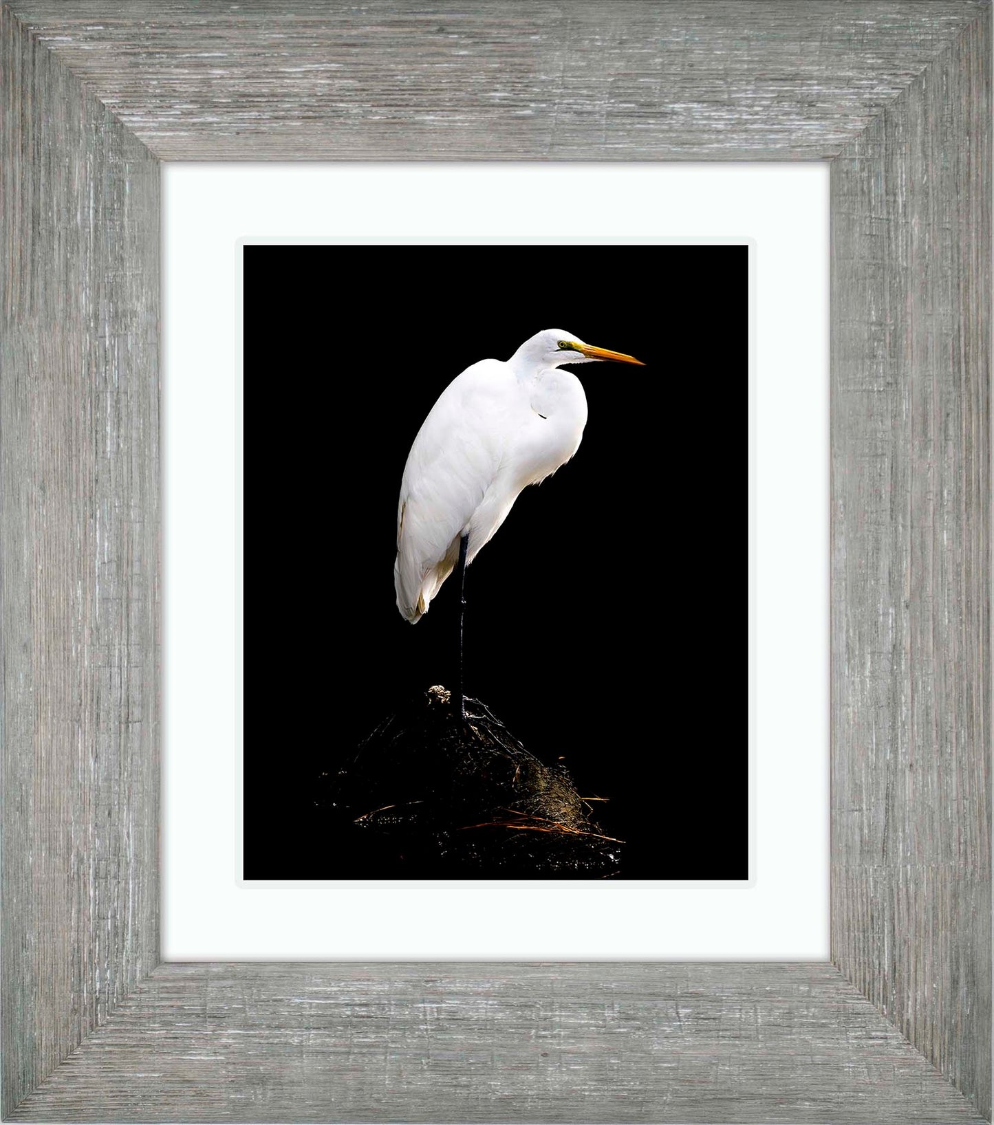 Studio in the Wild -- Digital Print