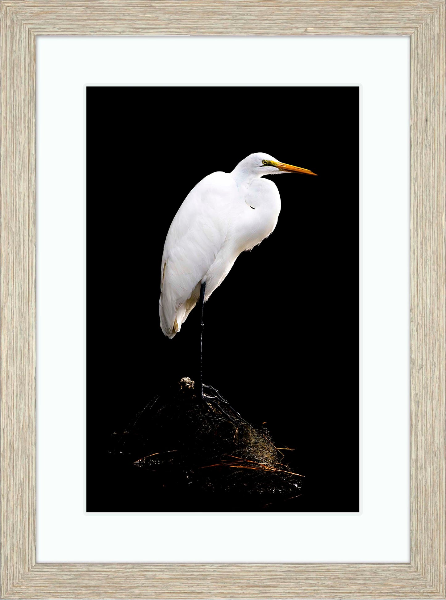 Studio in the Wild -- Digital Print