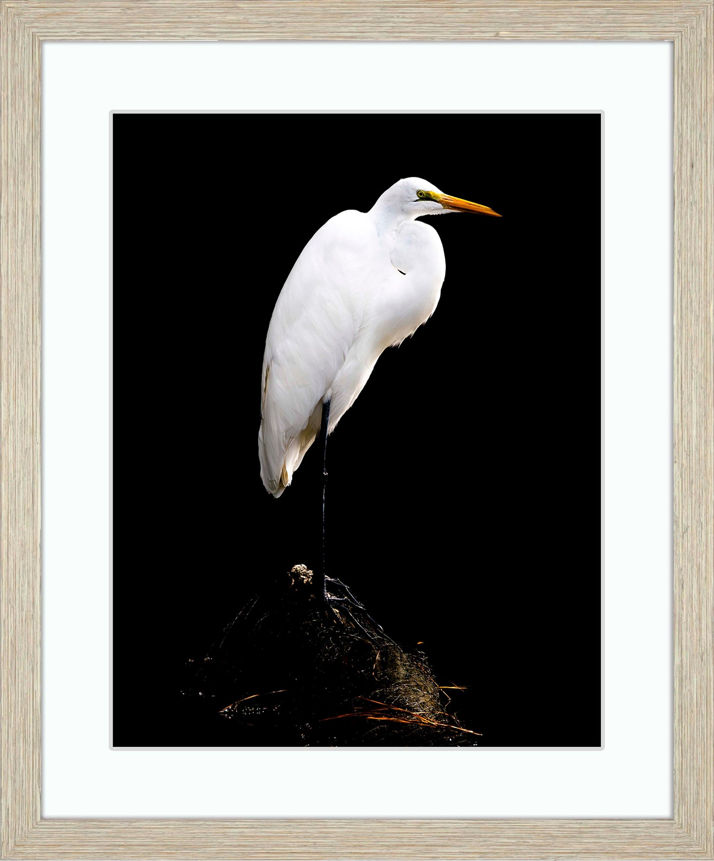 Studio in the Wild -- Digital Print