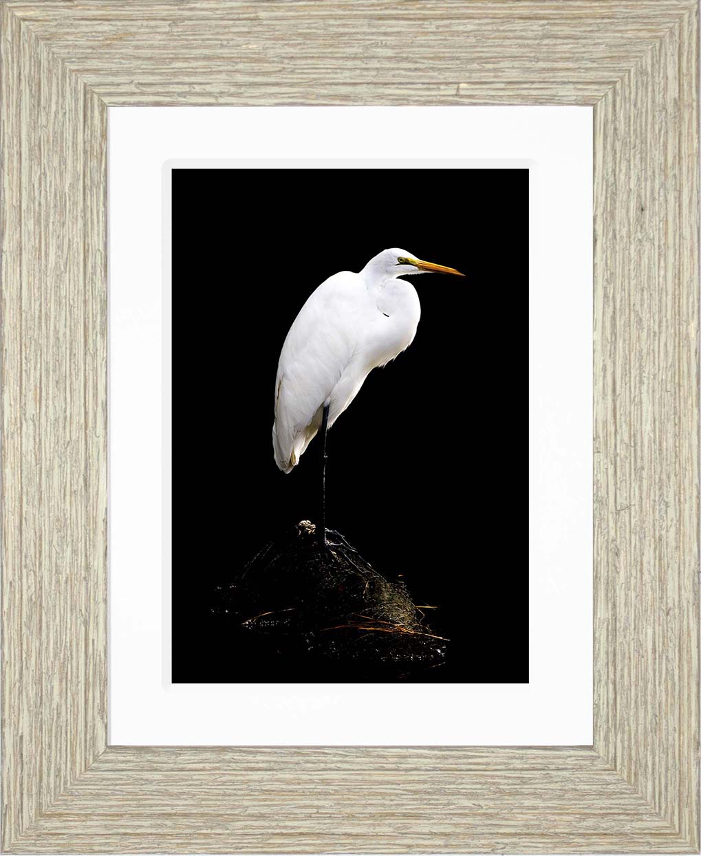 Studio in the Wild -- Digital Print