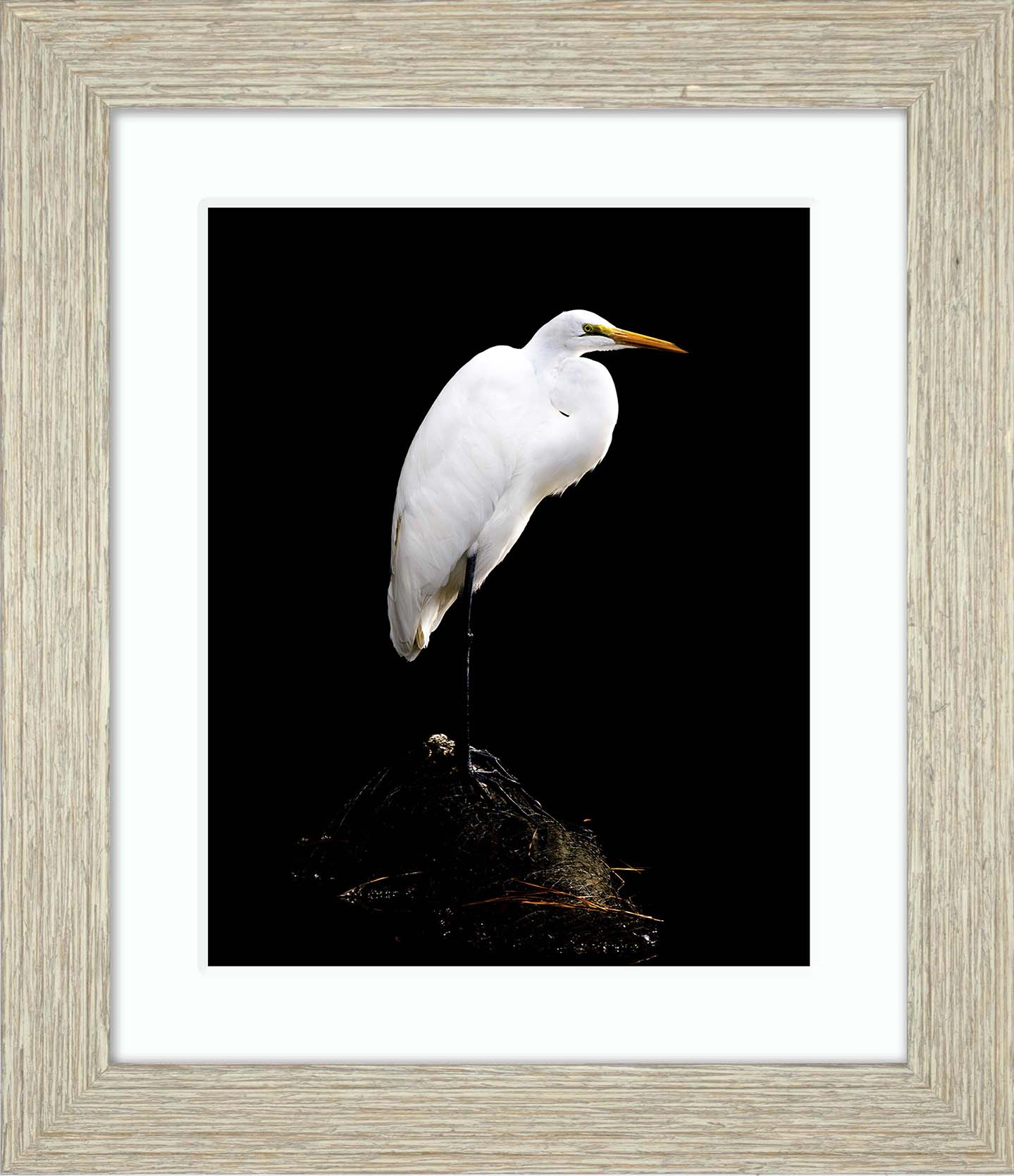 Studio in the Wild -- Digital Print