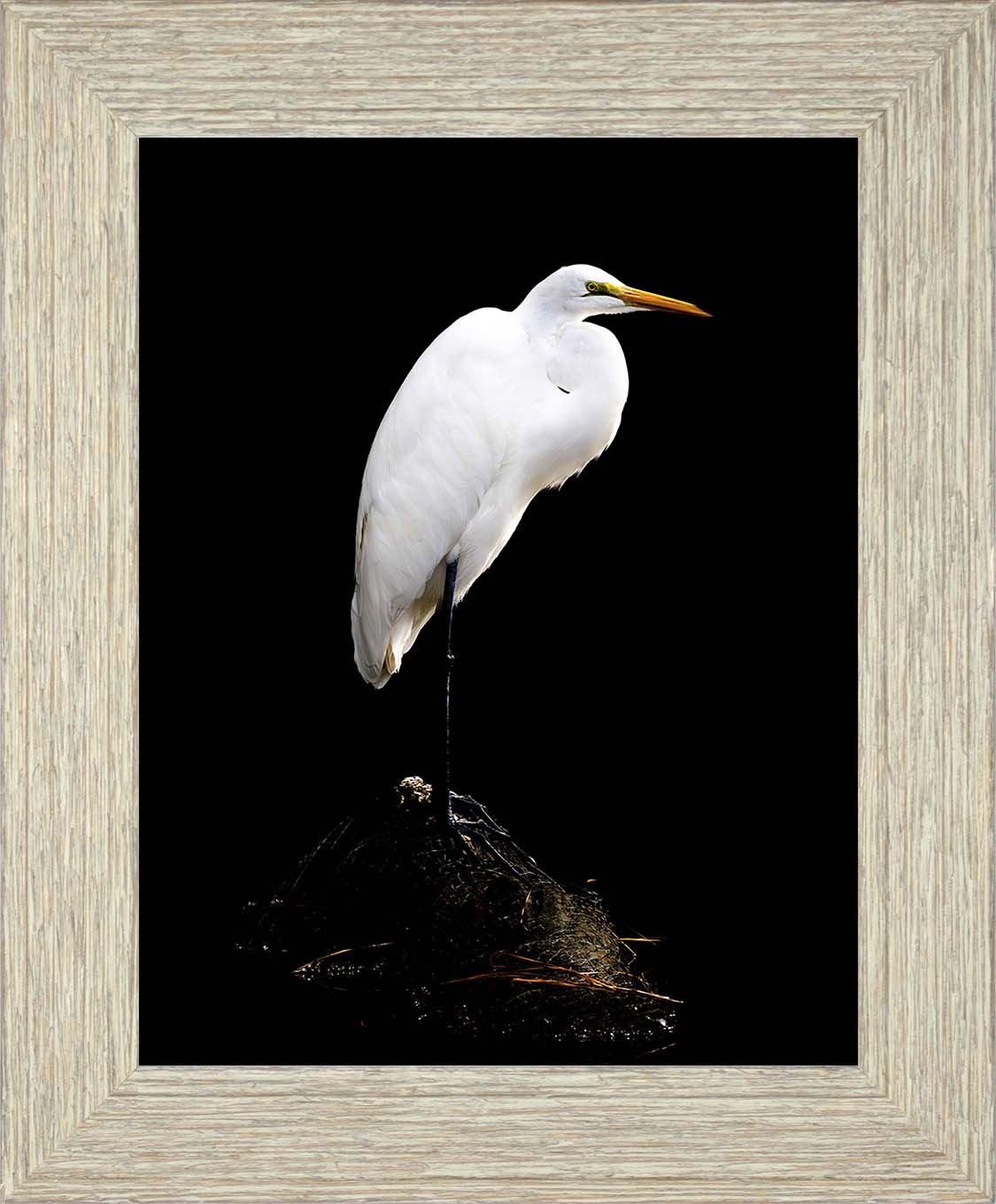 Studio in the Wild -- Digital Print