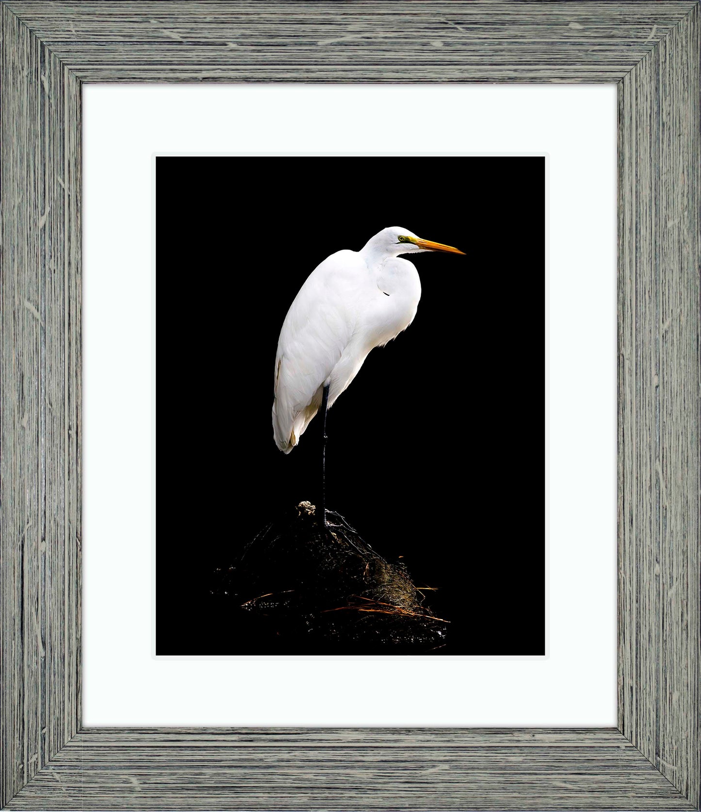 Studio in the Wild -- Digital Print