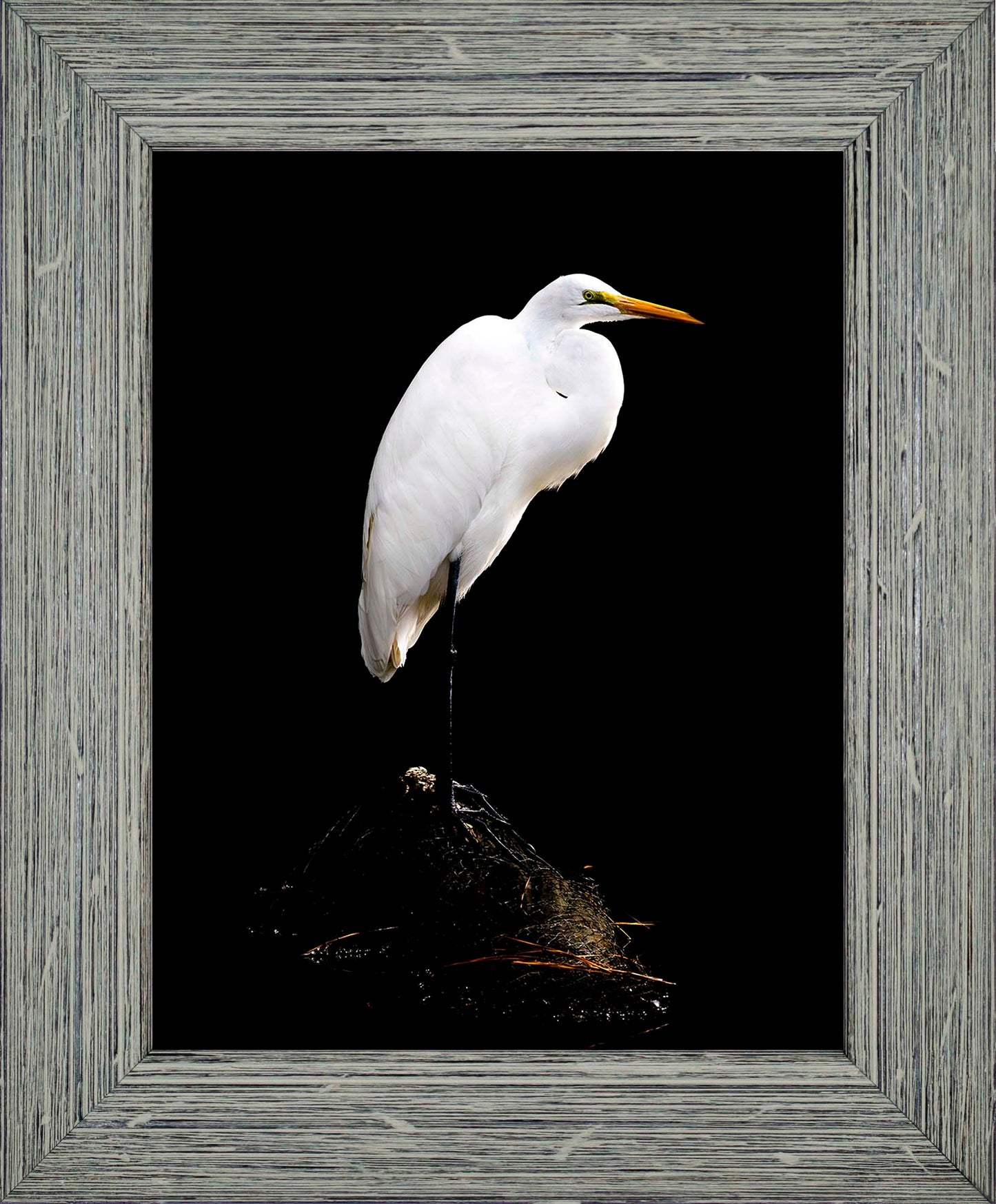 Studio in the Wild -- Digital Print