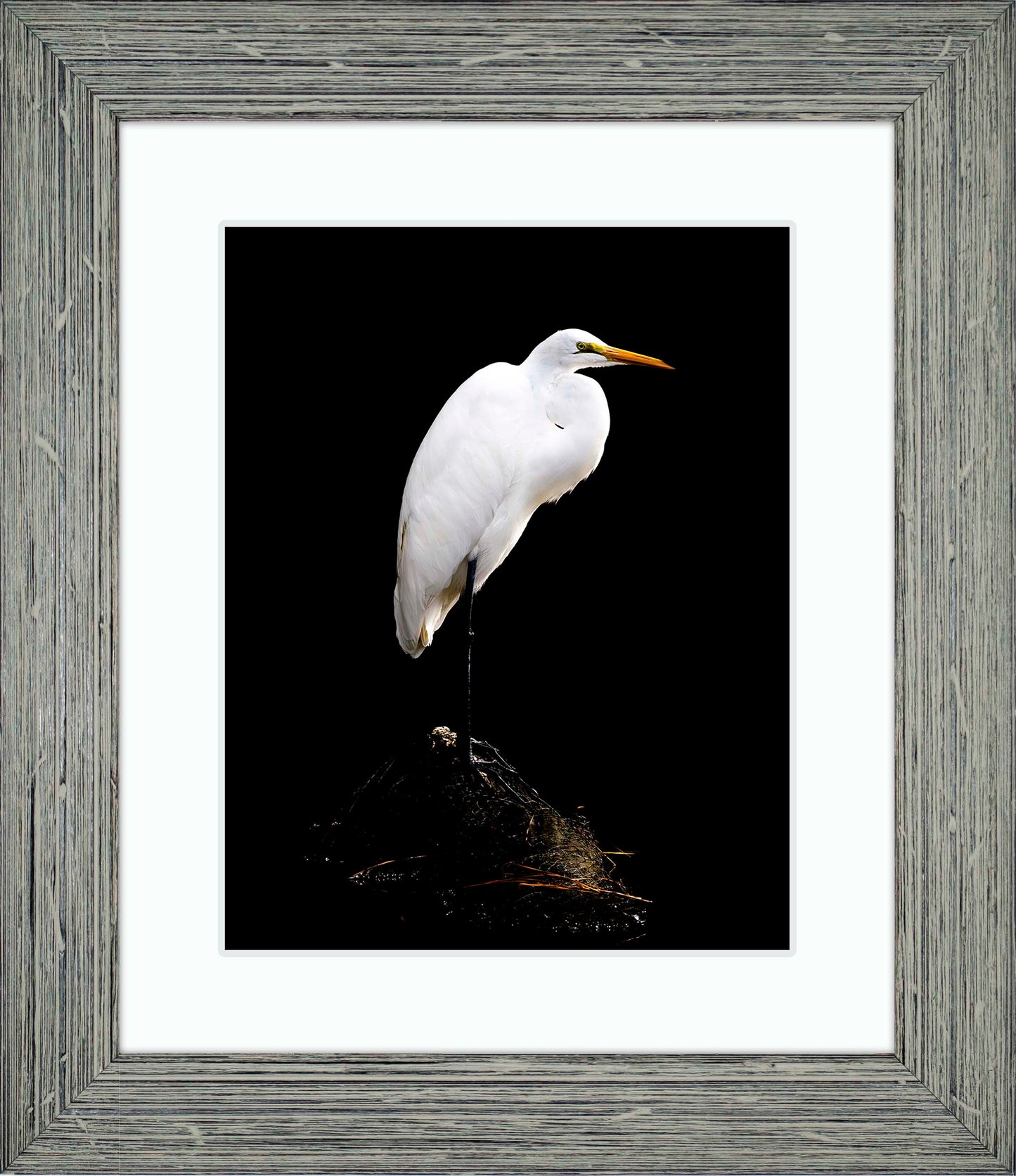 Studio in the Wild -- Digital Print