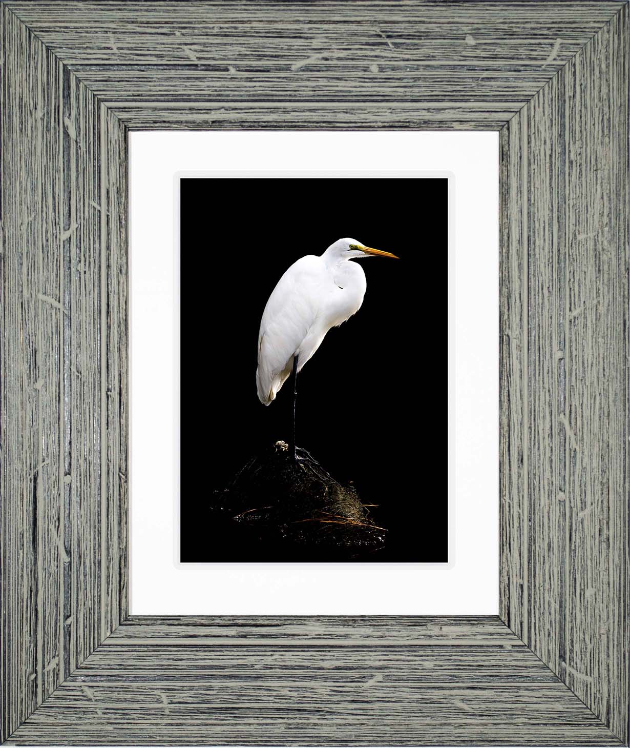 Studio in the Wild -- Digital Print