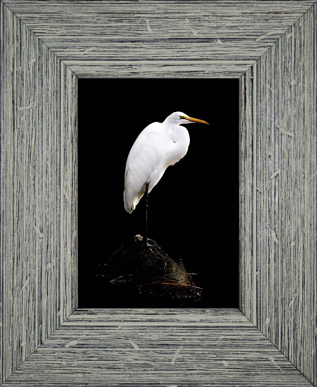 Studio in the Wild -- Digital Print