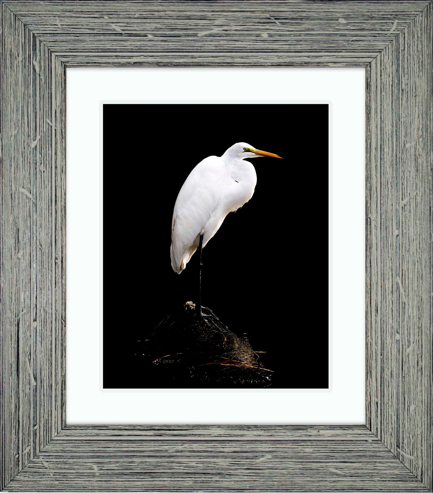 Studio in the Wild -- Digital Print