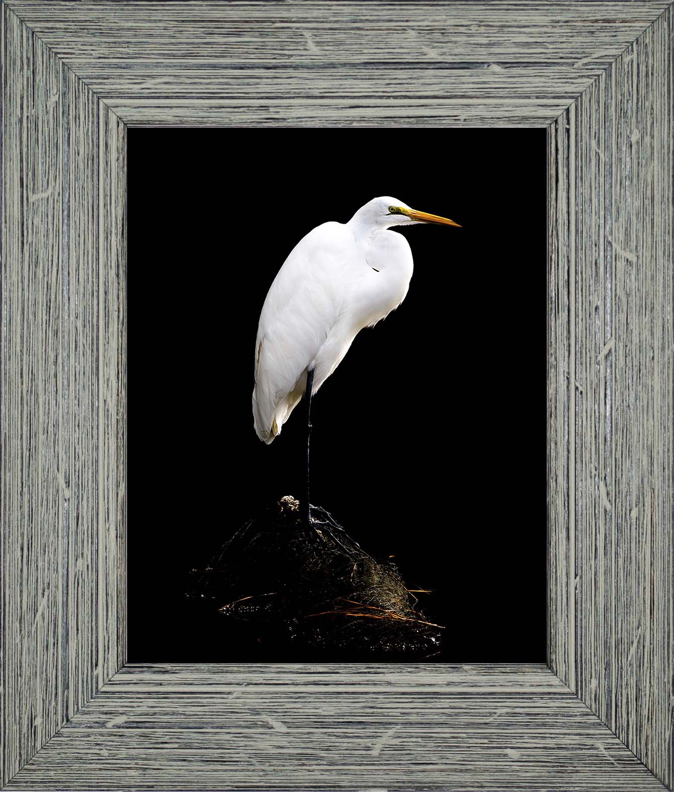 Studio in the Wild -- Digital Print