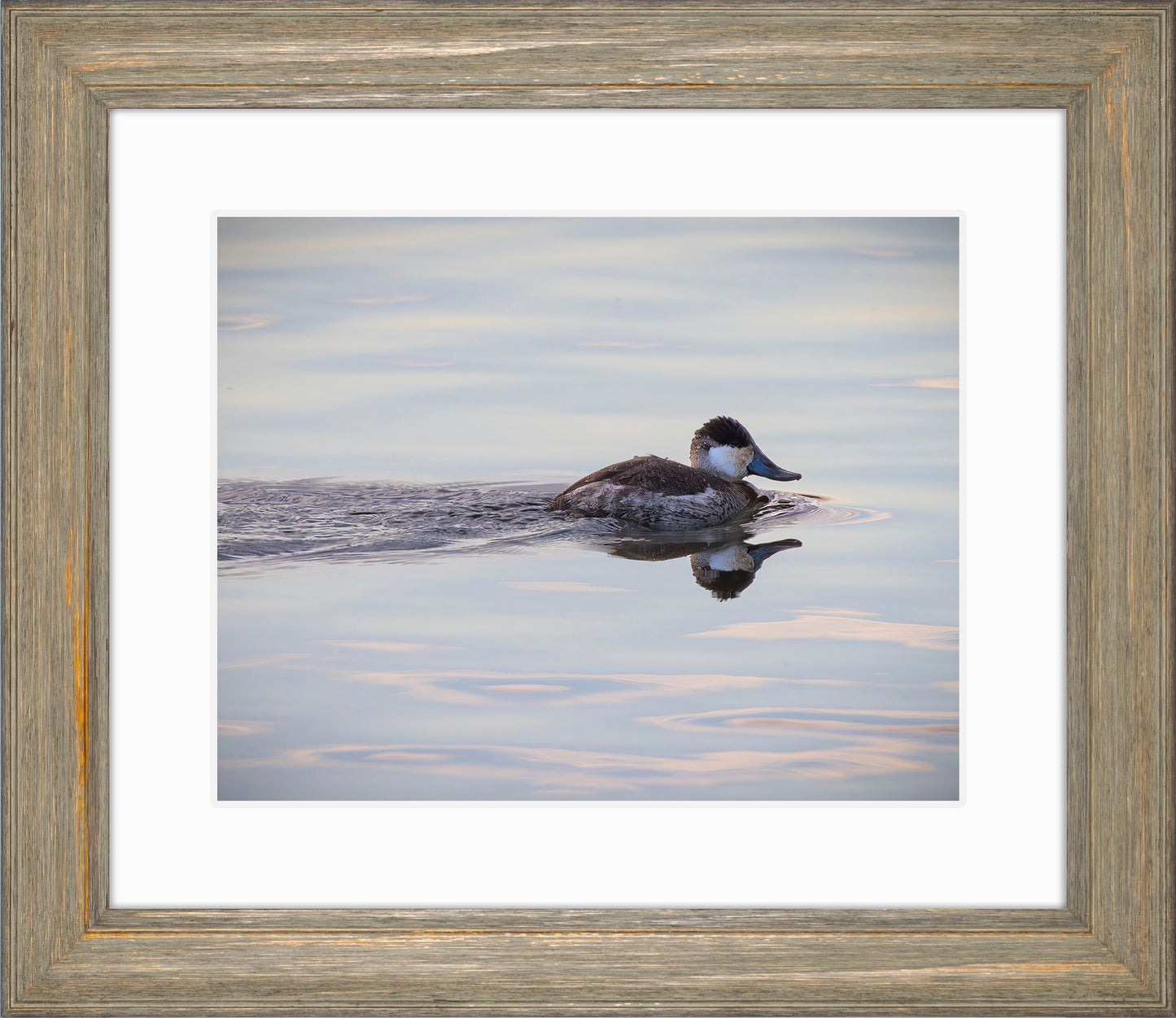 Swimming in a Mirror