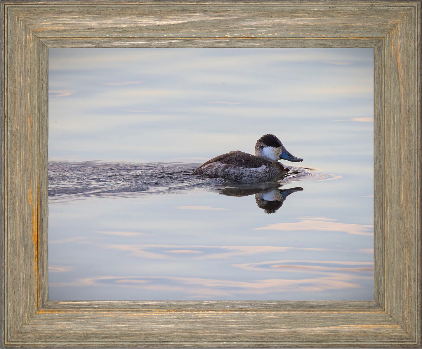 Swimming in a Mirror