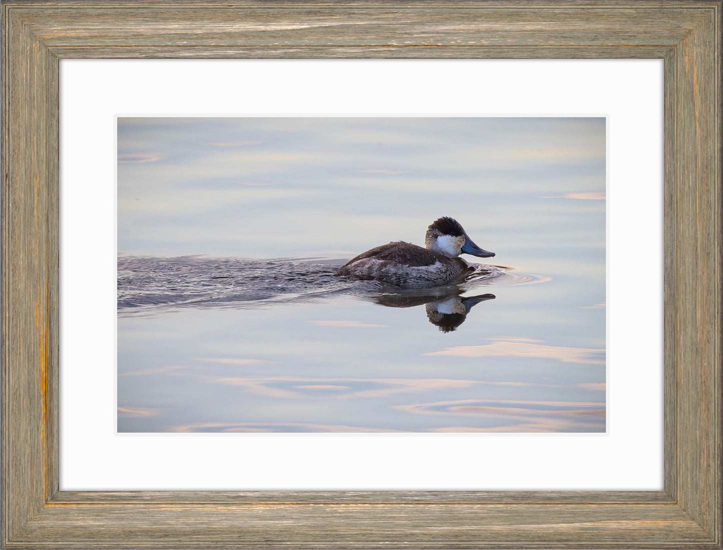 Swimming in a Mirror