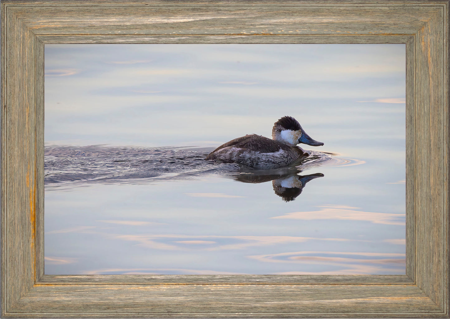 Swimming in a Mirror