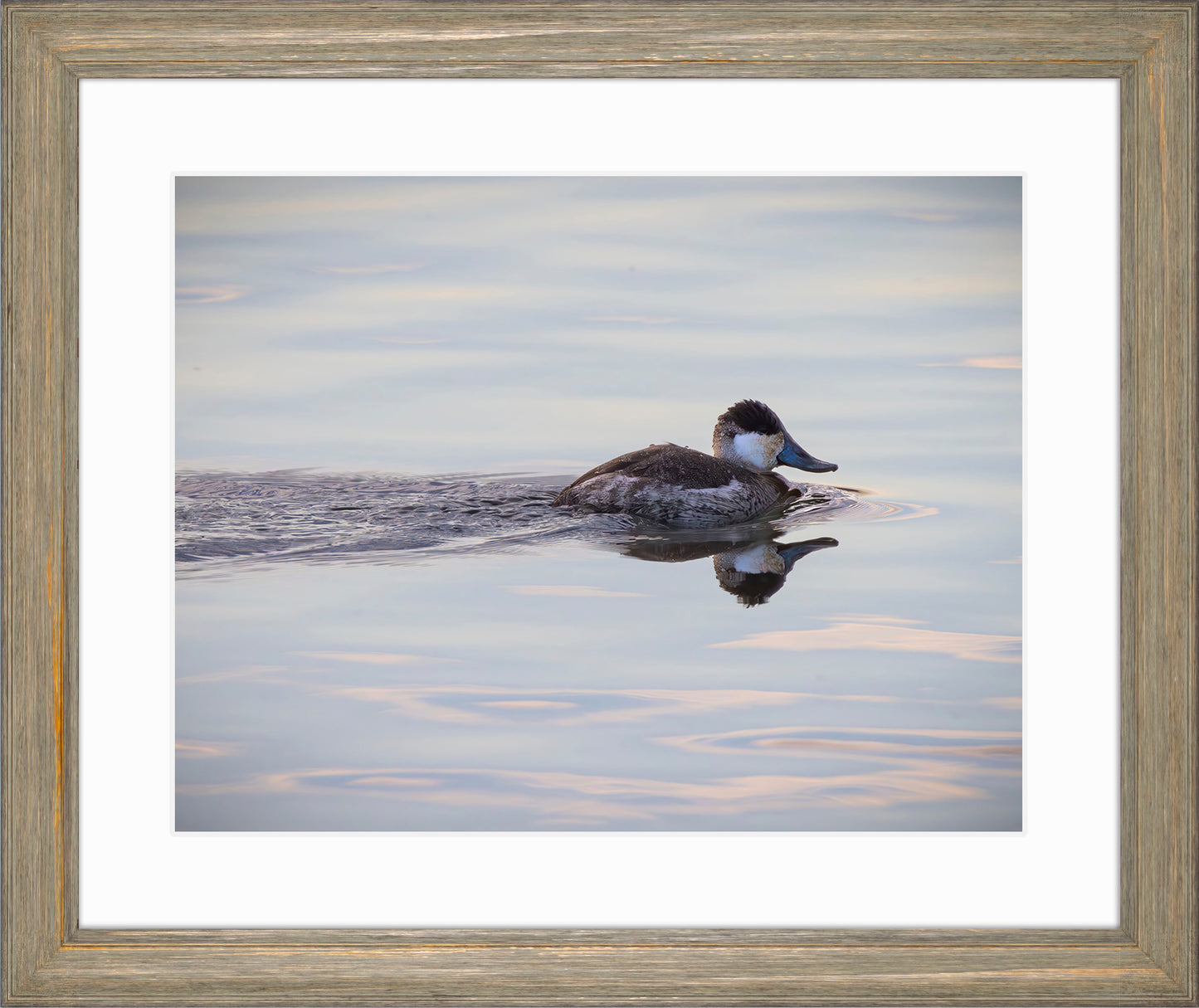 Swimming in a Mirror