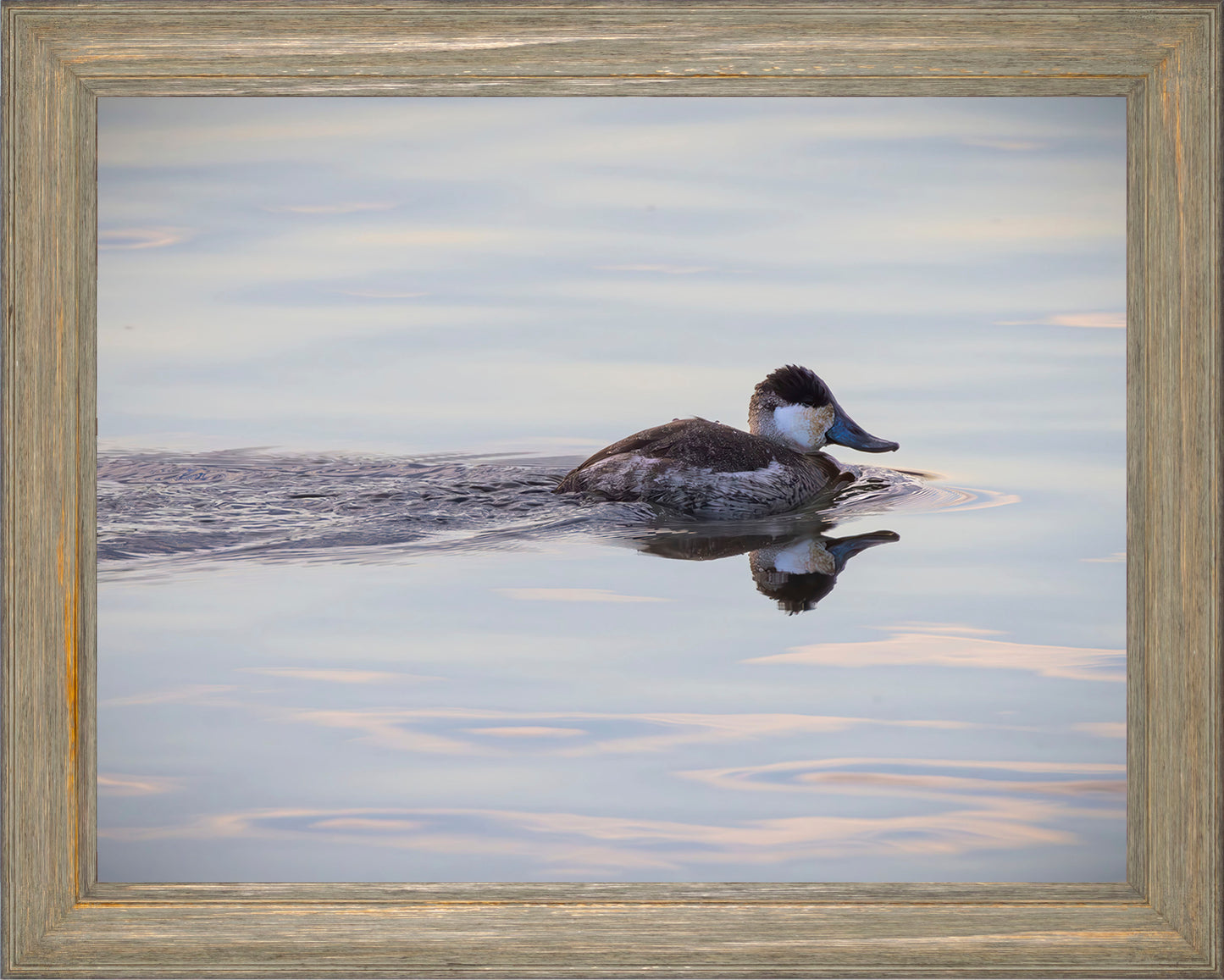 Swimming in a Mirror