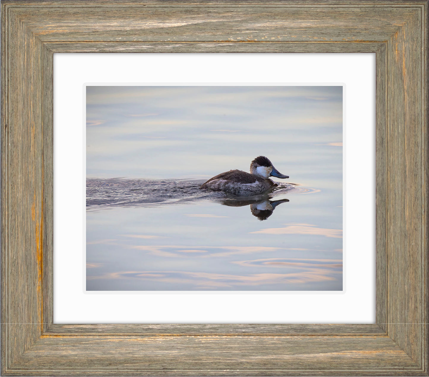 Swimming in a Mirror