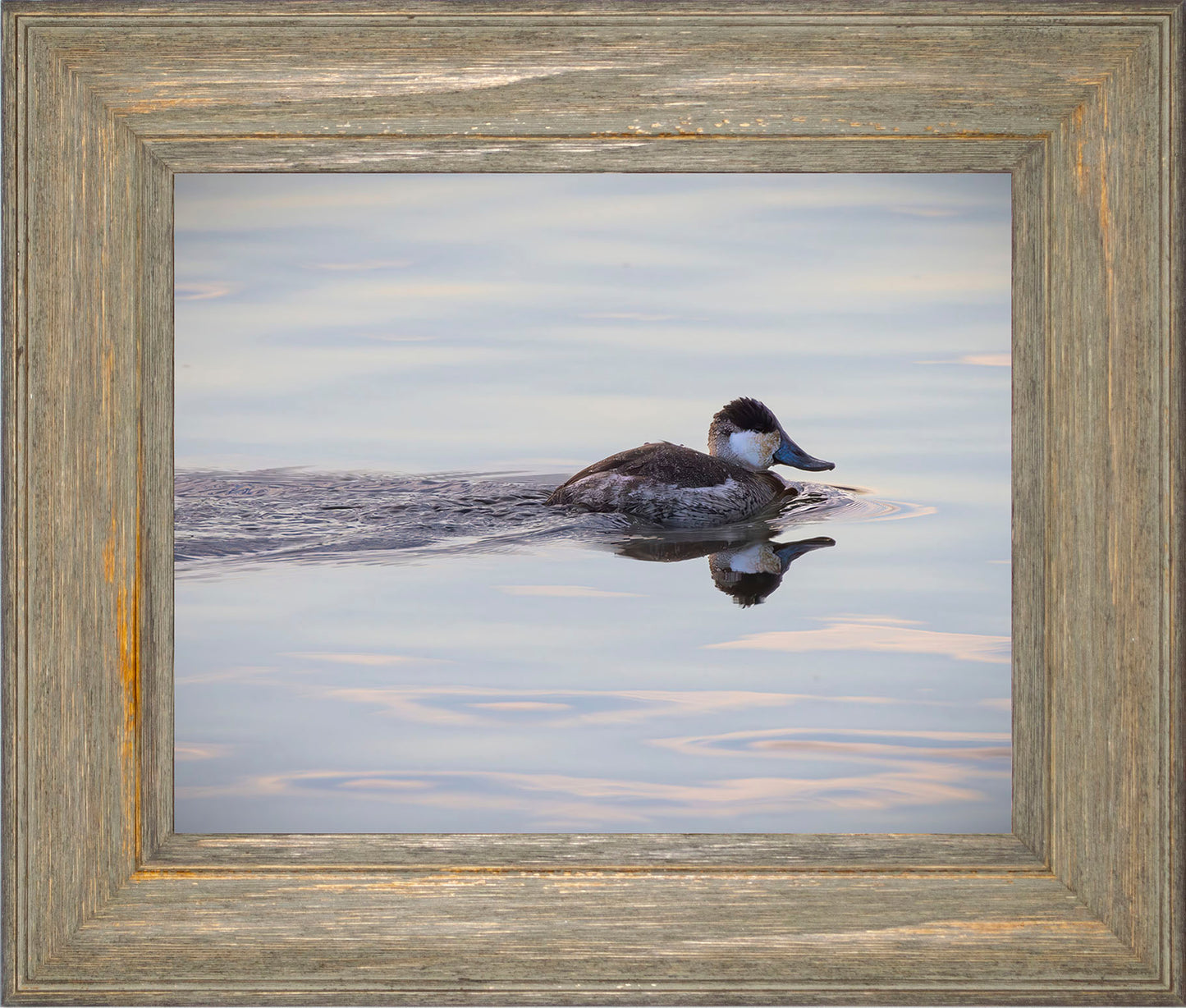 Swimming in a Mirror