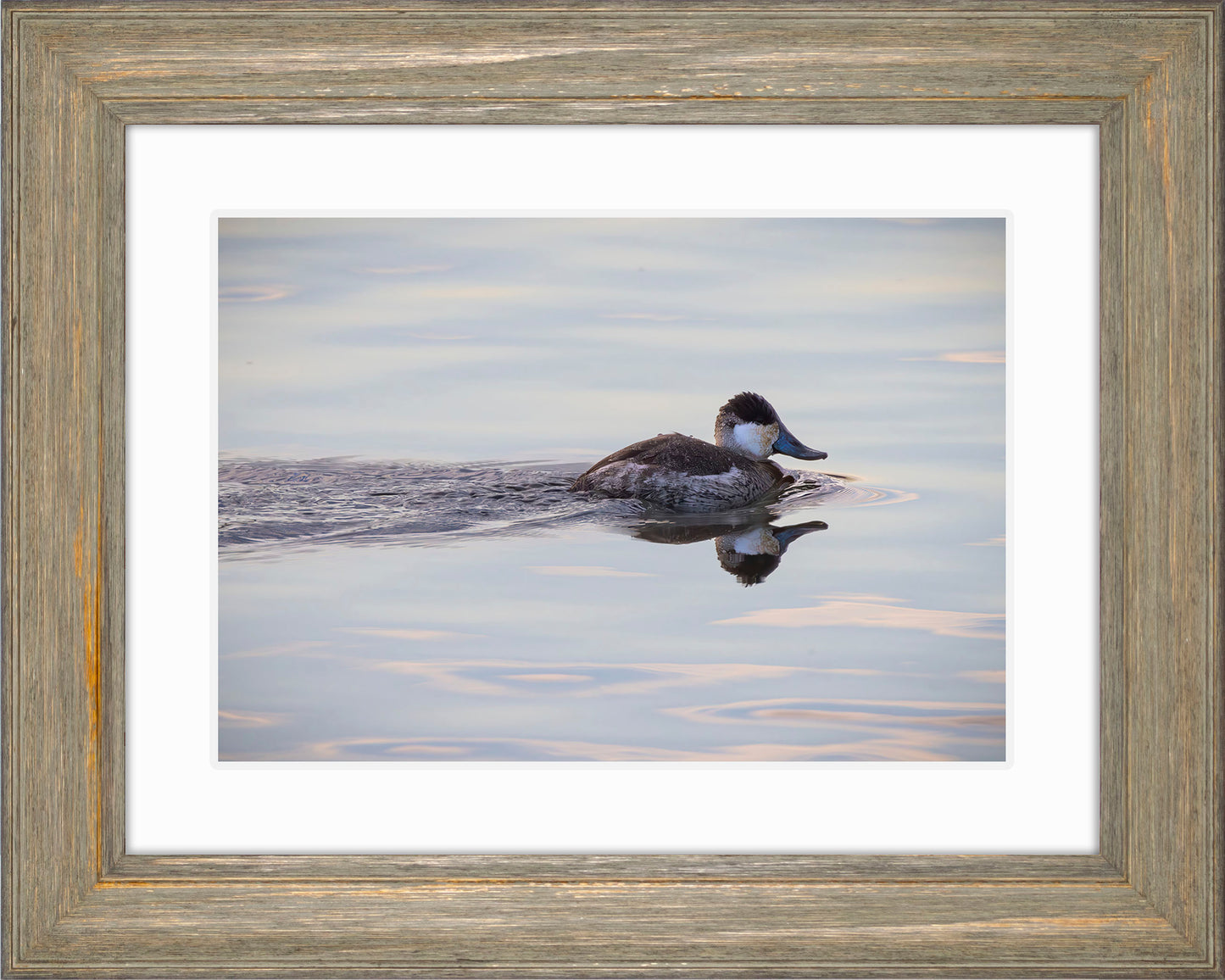 Swimming in a Mirror