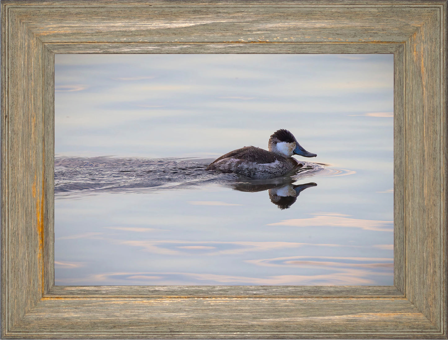 Swimming in a Mirror