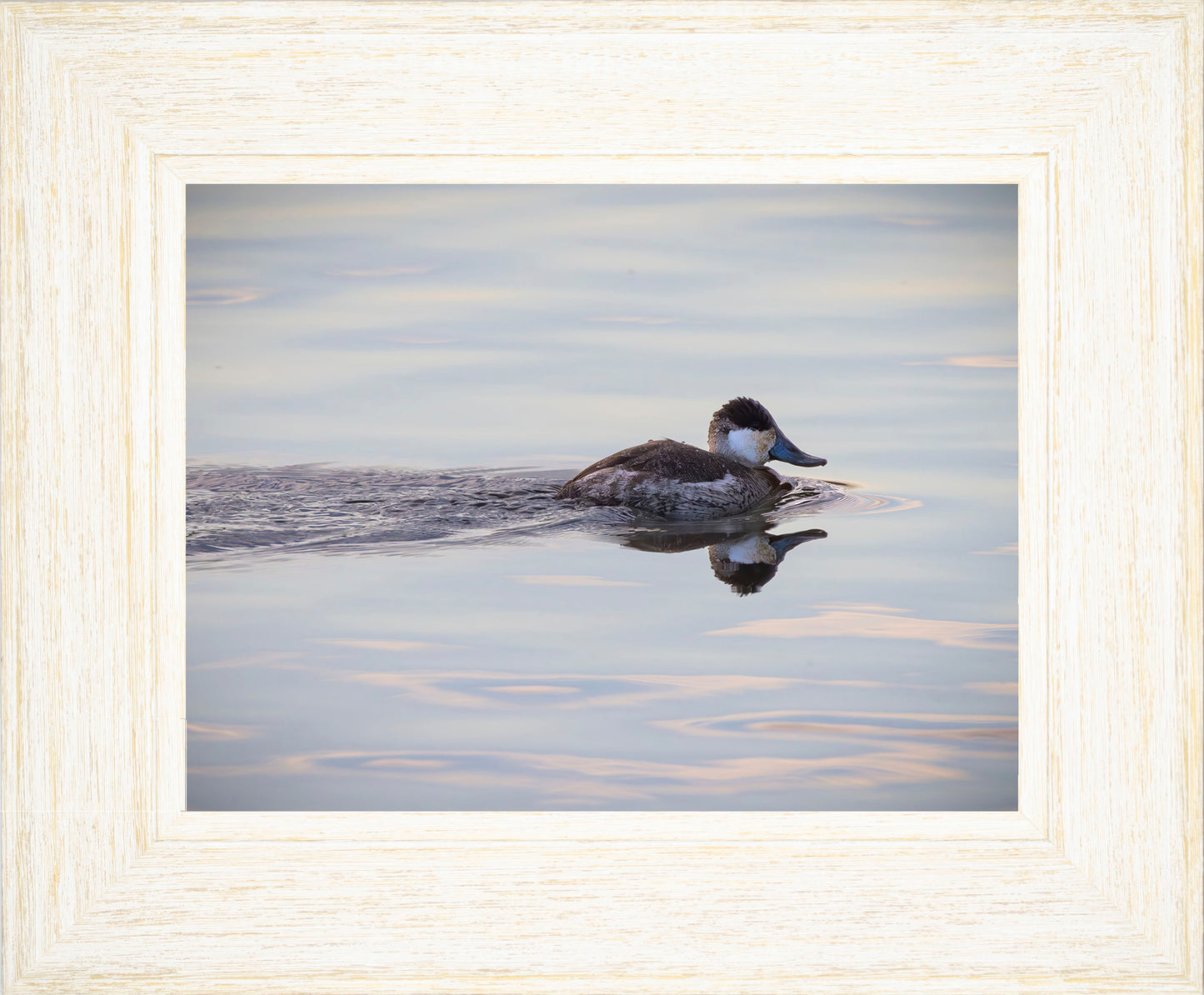 Swimming in a Mirror