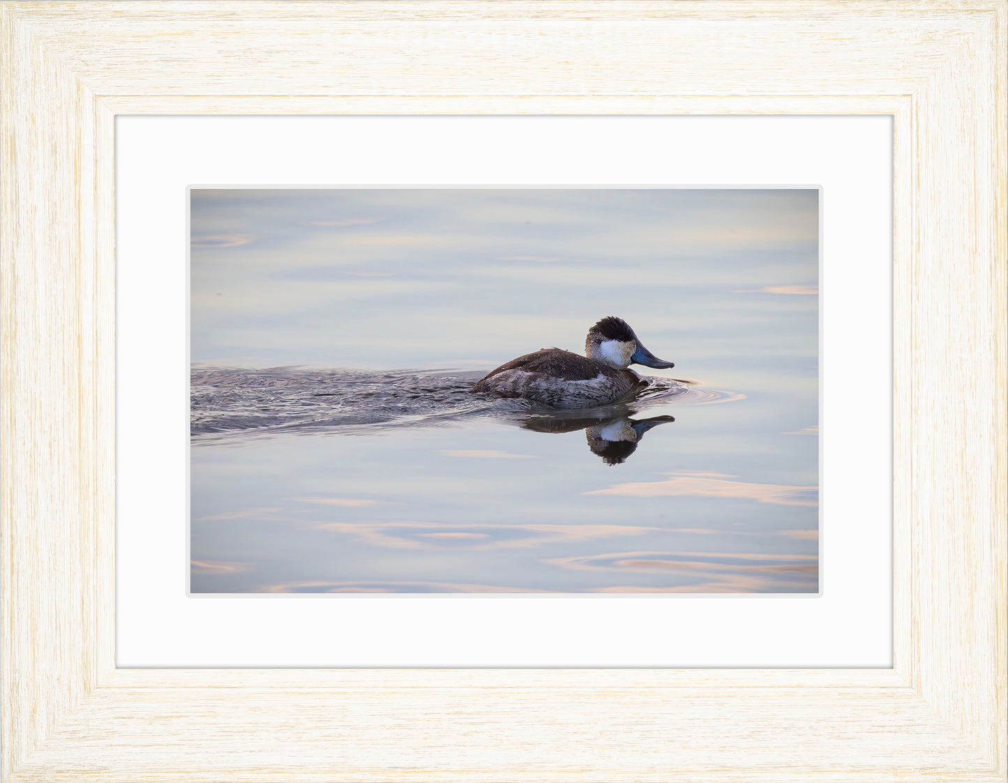 Swimming in a Mirror