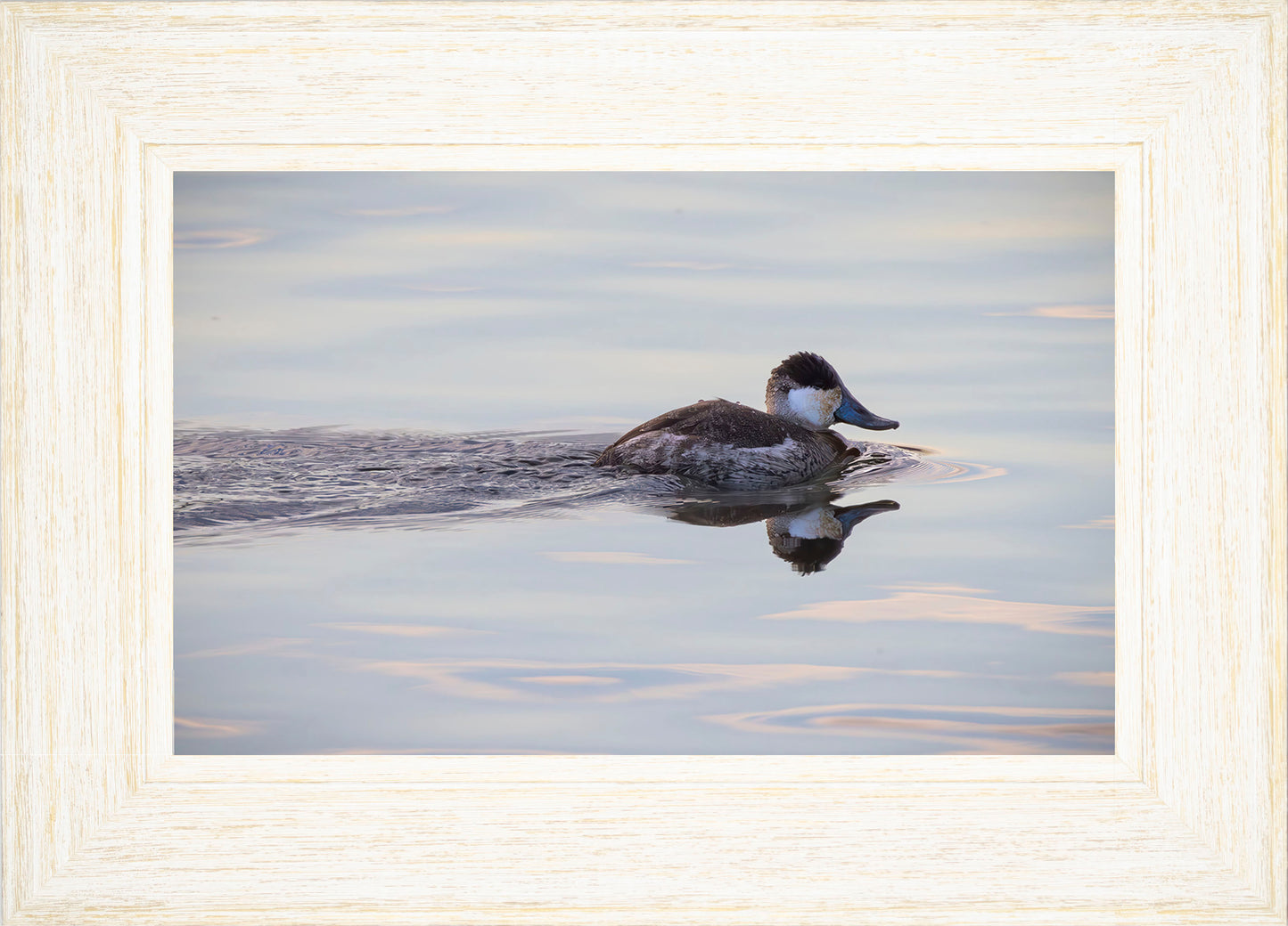 Swimming in a Mirror