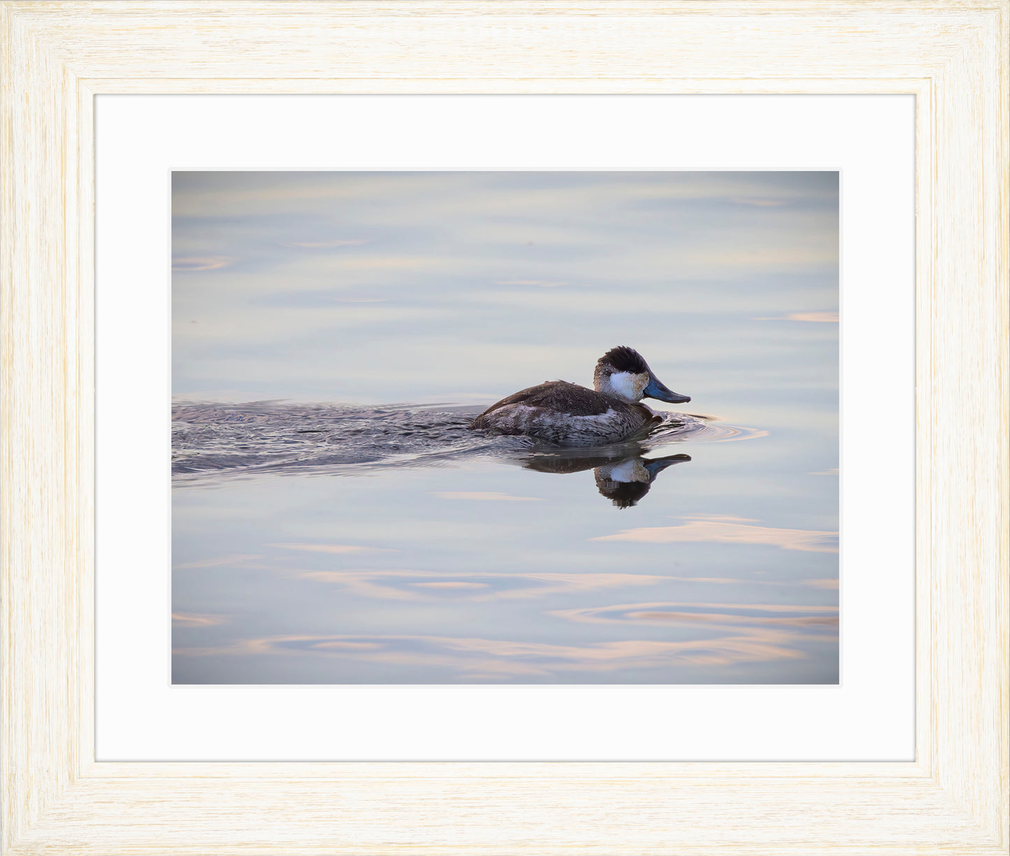 Swimming in a Mirror