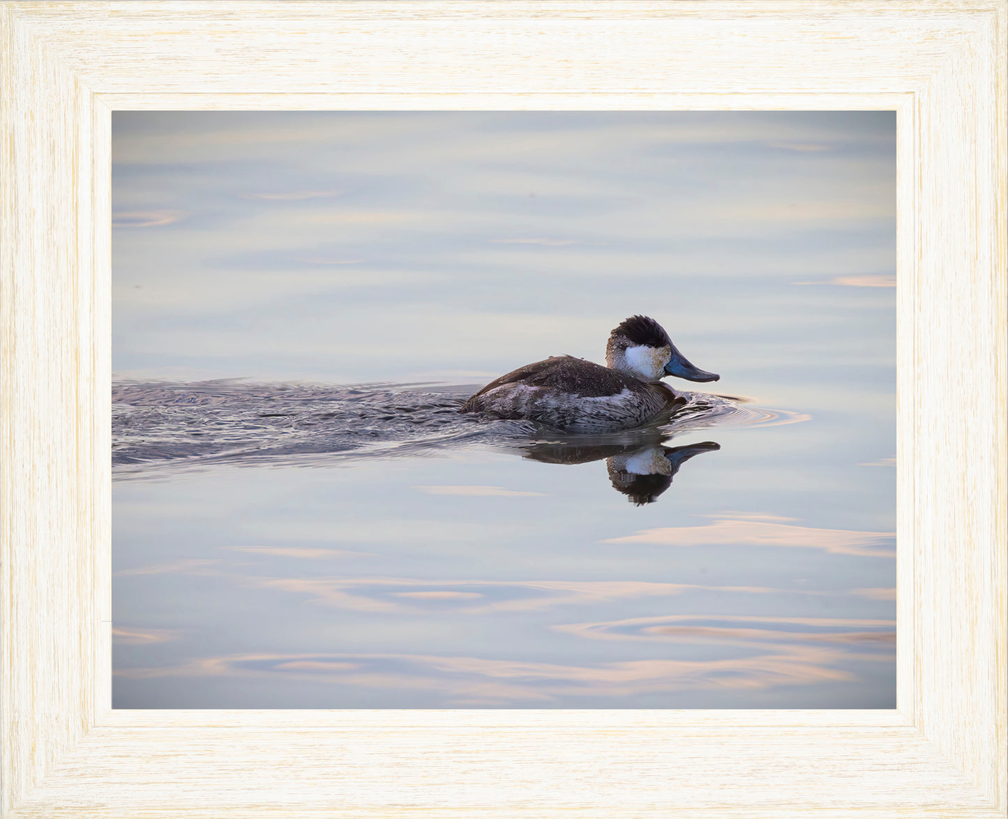 Swimming in a Mirror